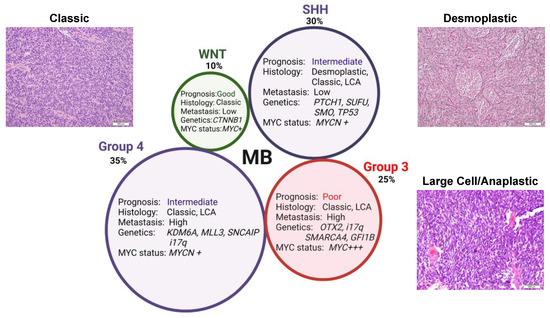 Subgroup-Specific Diagnostic, Prognostic, and Predictive Markers