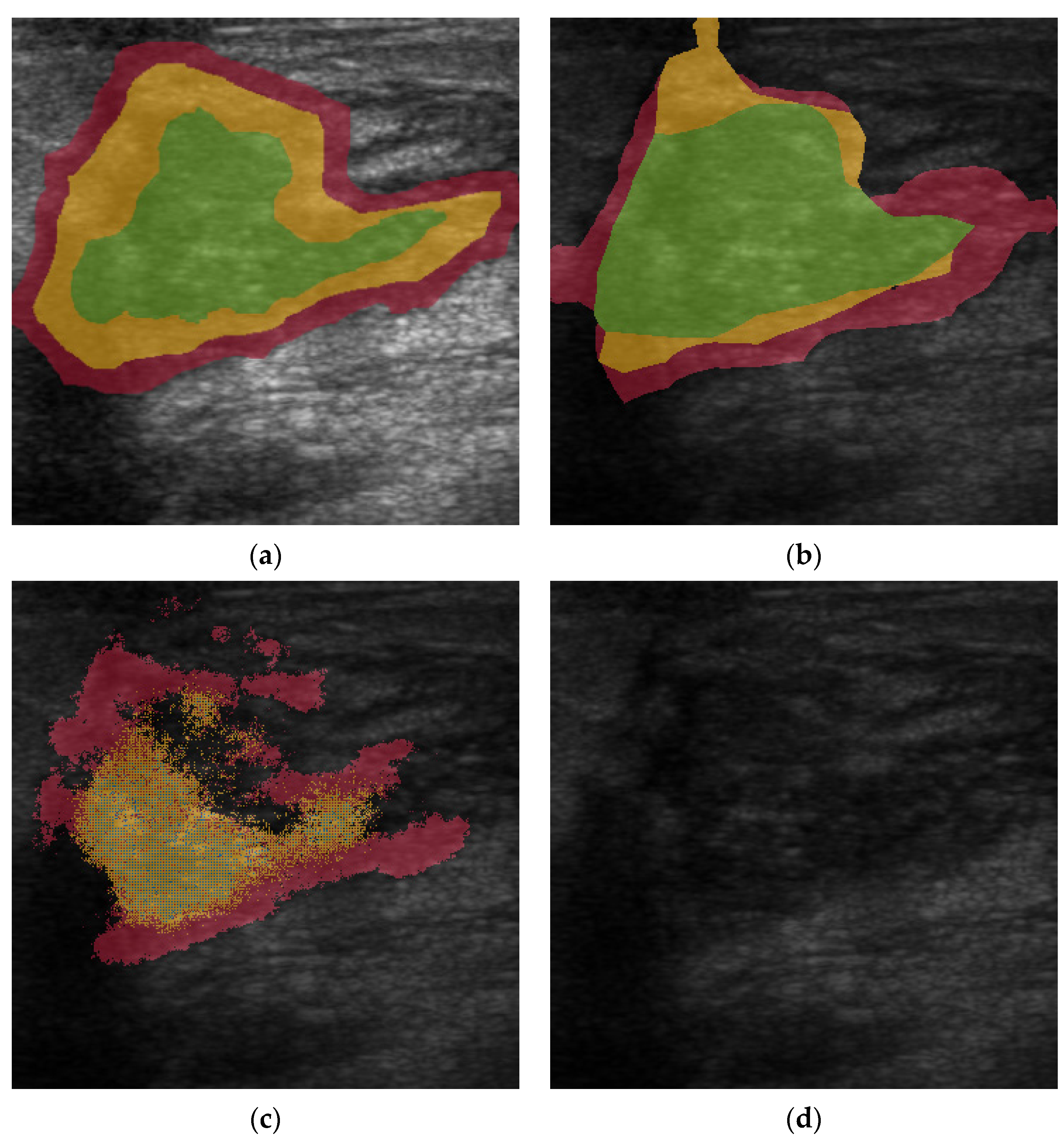 Diagnostics 12 00066 g006 550