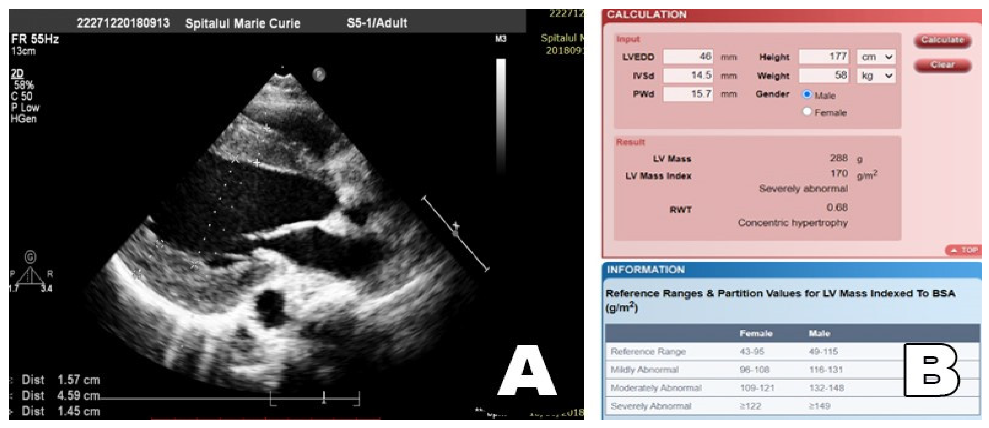 Diagnostics 12 00071 g004 550