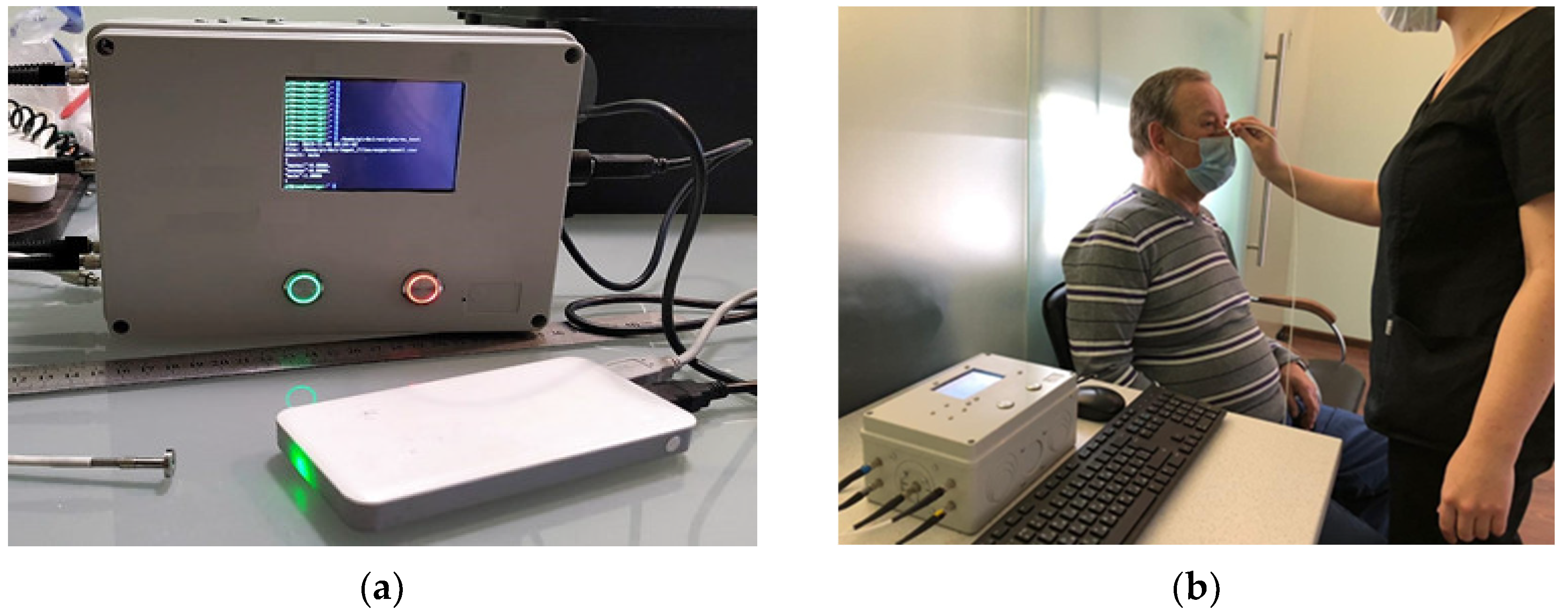 Diagnostics 12 00072 g001