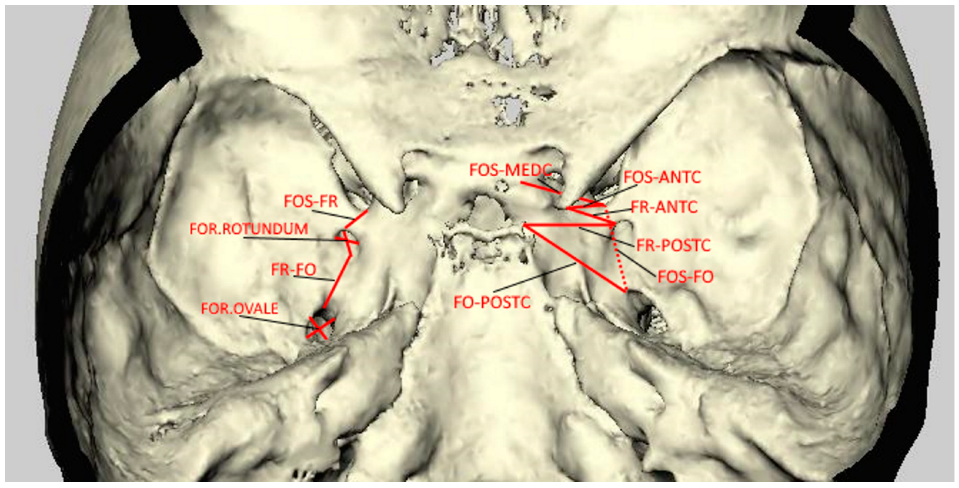 Diagnostics 12 00073 g001 550