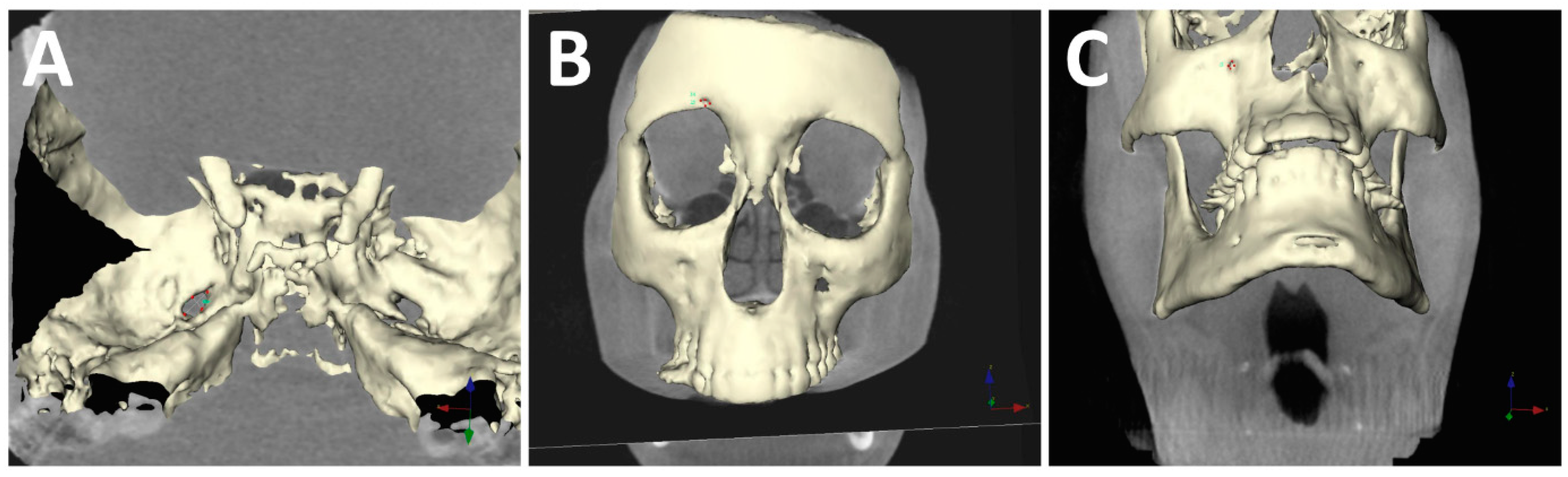 Diagnostics 12 00073 g002 550