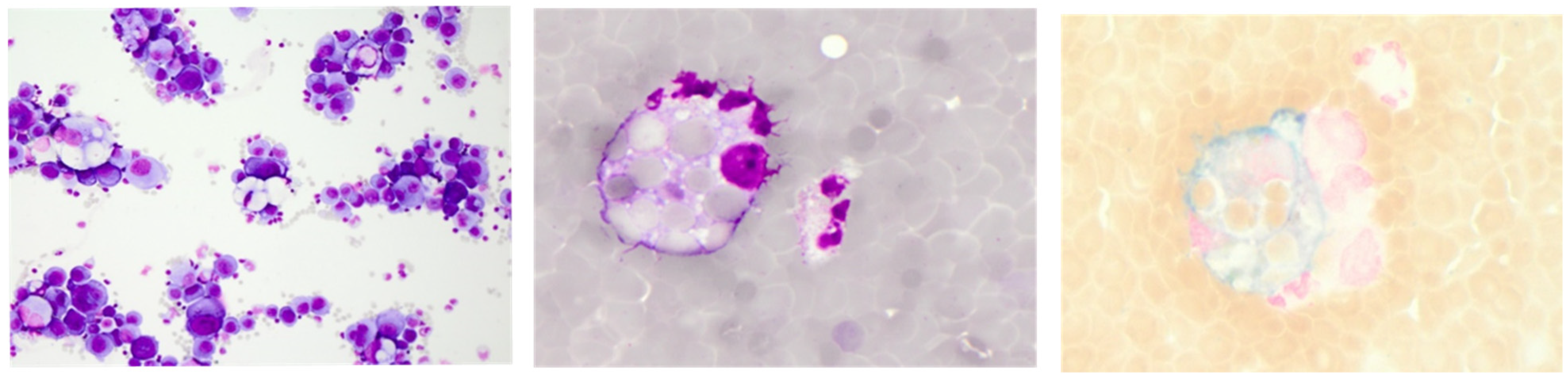 Diagnostics 12 00079 g002