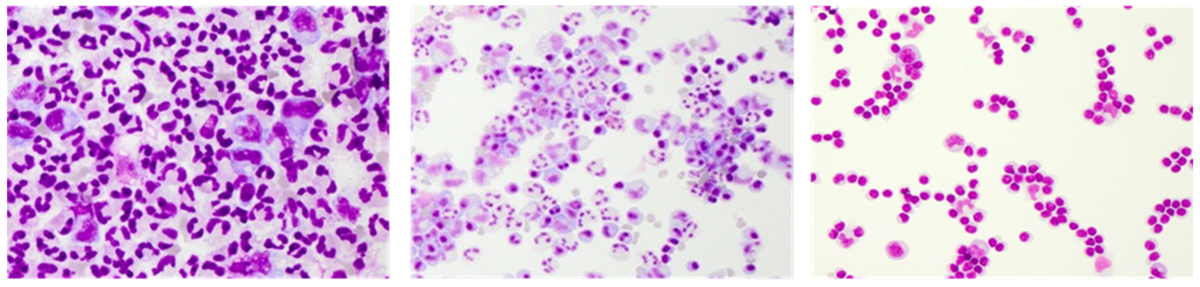 Diagnostics 12 00079 g003