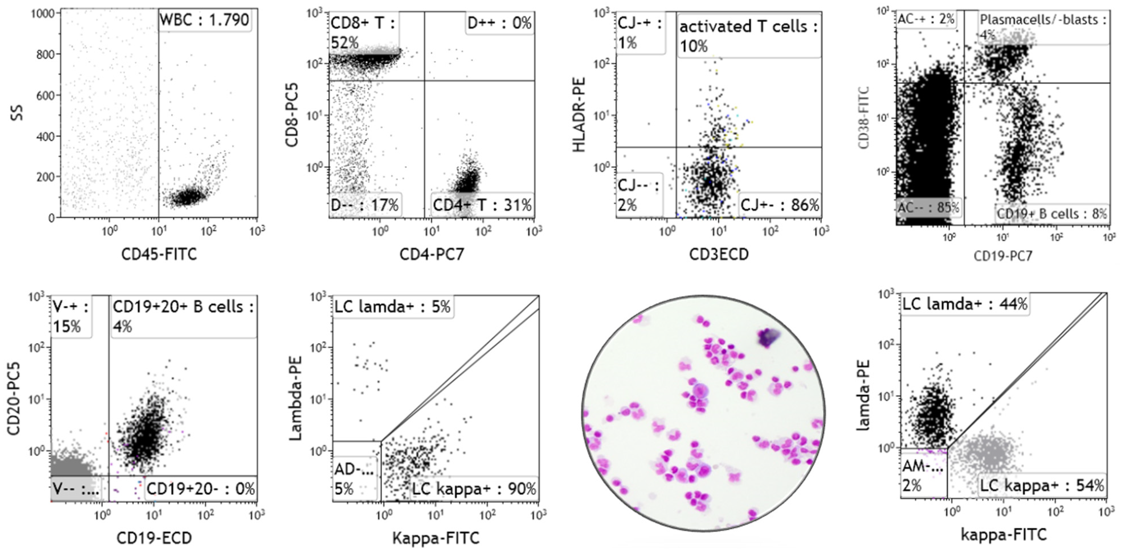 Diagnostics 12 00079 g005
