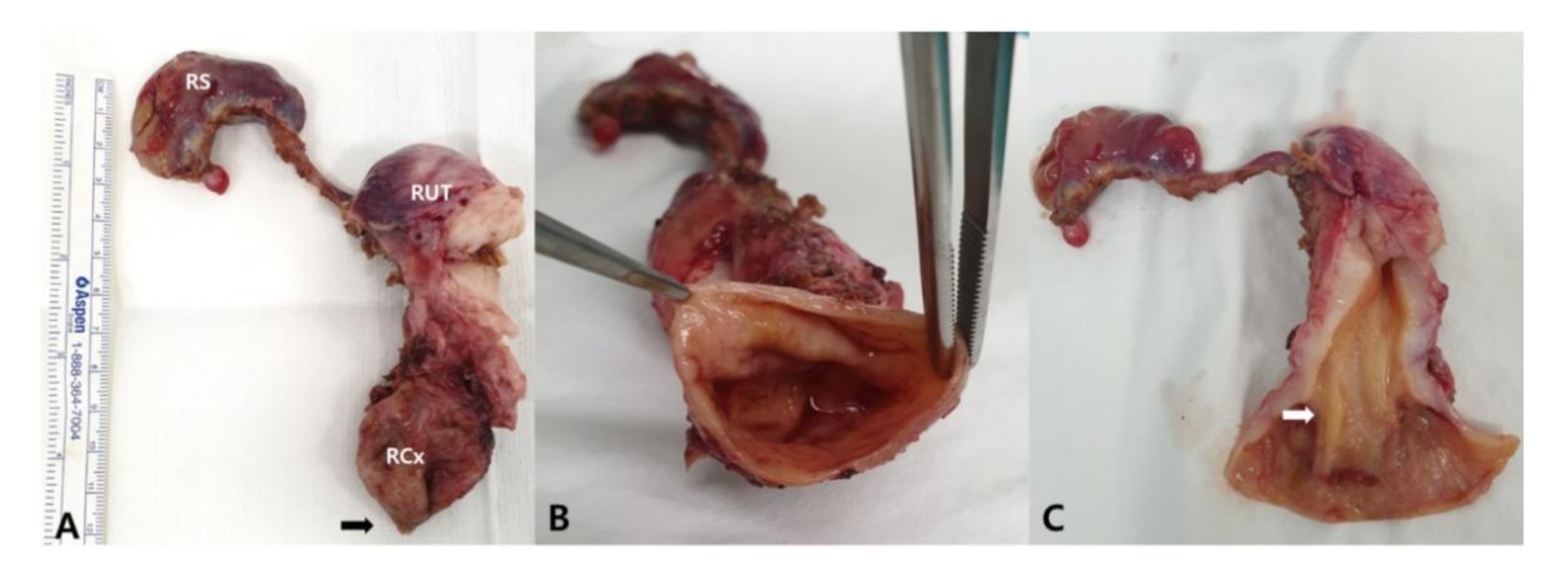 Diagnostics 12 00083 g002