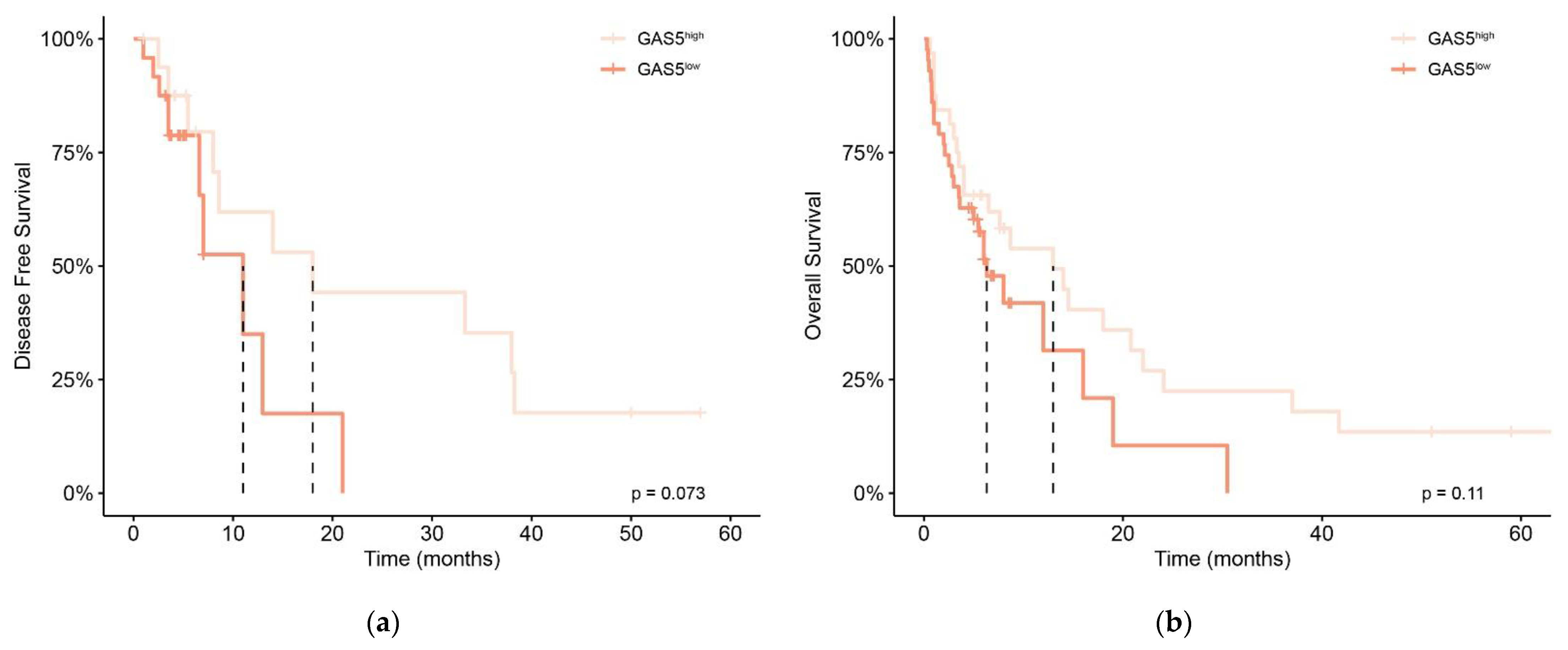 Diagnostics 12 00086 g002 550
