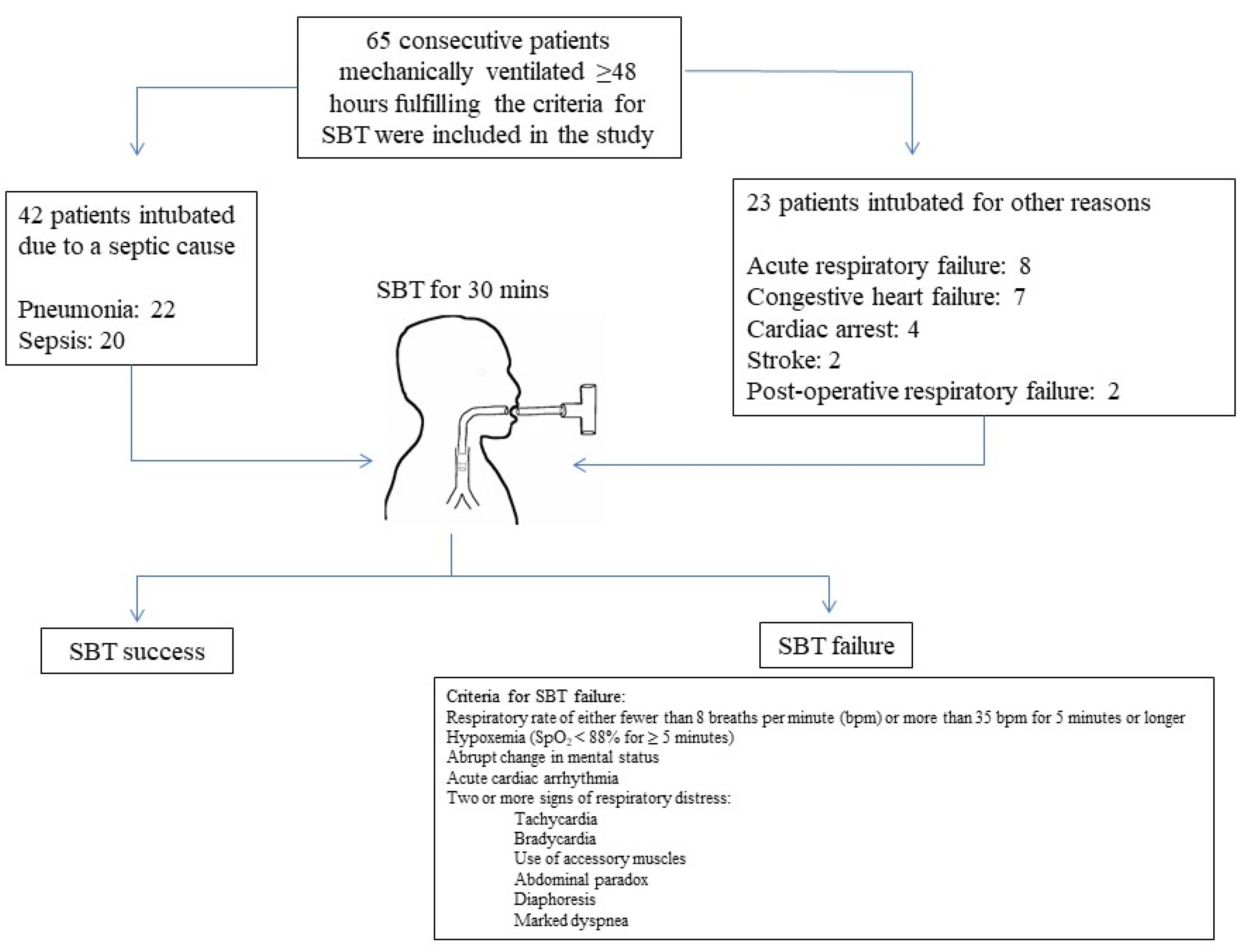 Diagnostics 12 00092 g001 550