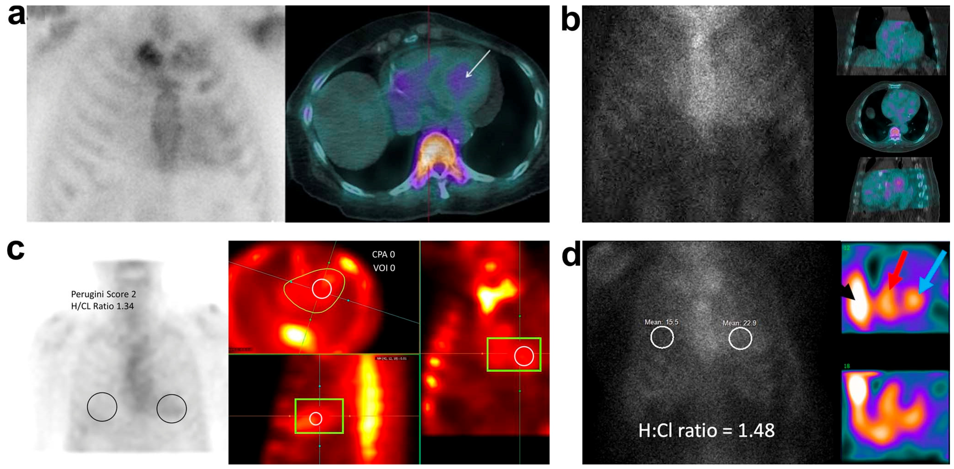Diagnostics 12 00094 g002