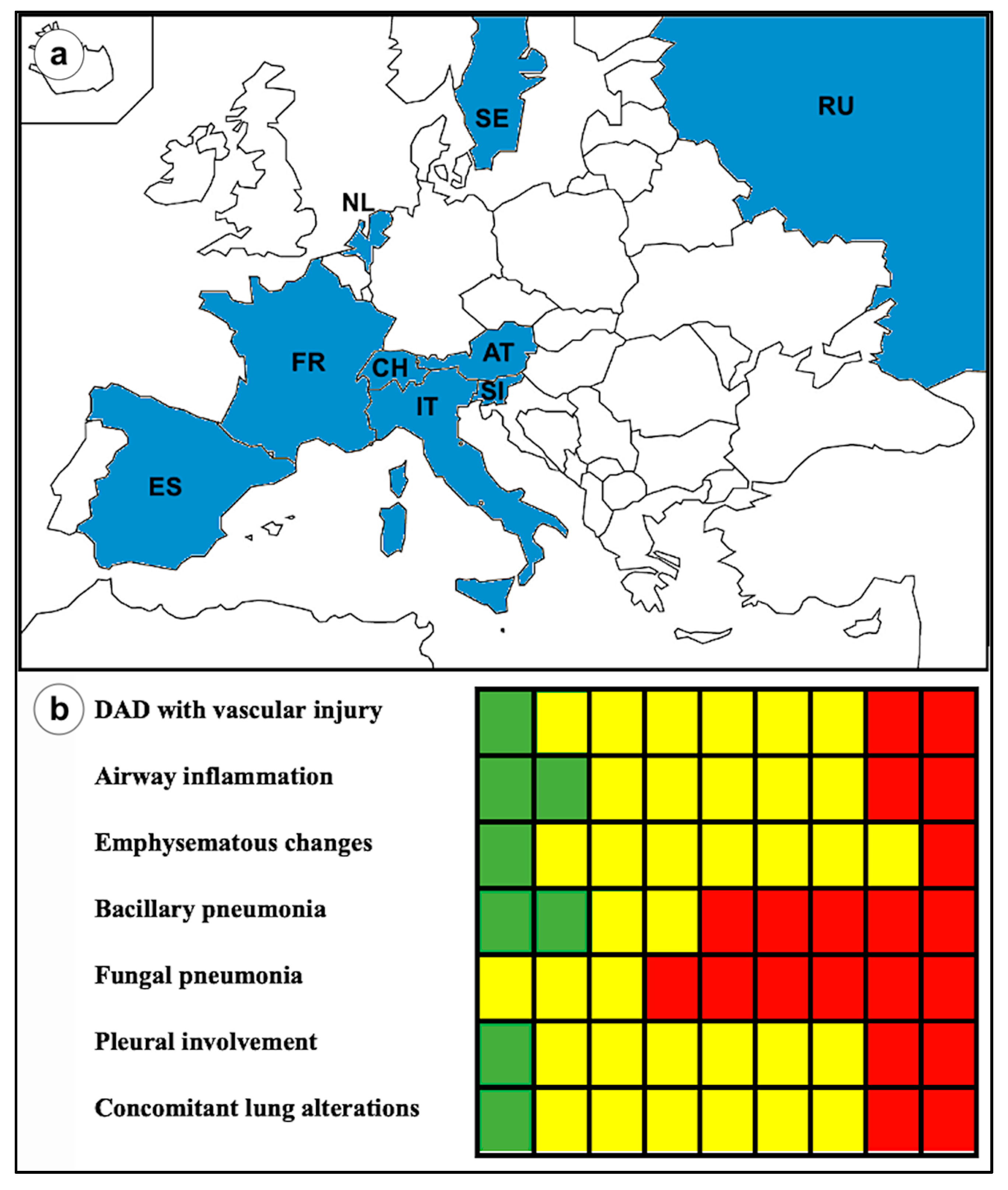 Diagnostics 12 00095 g001