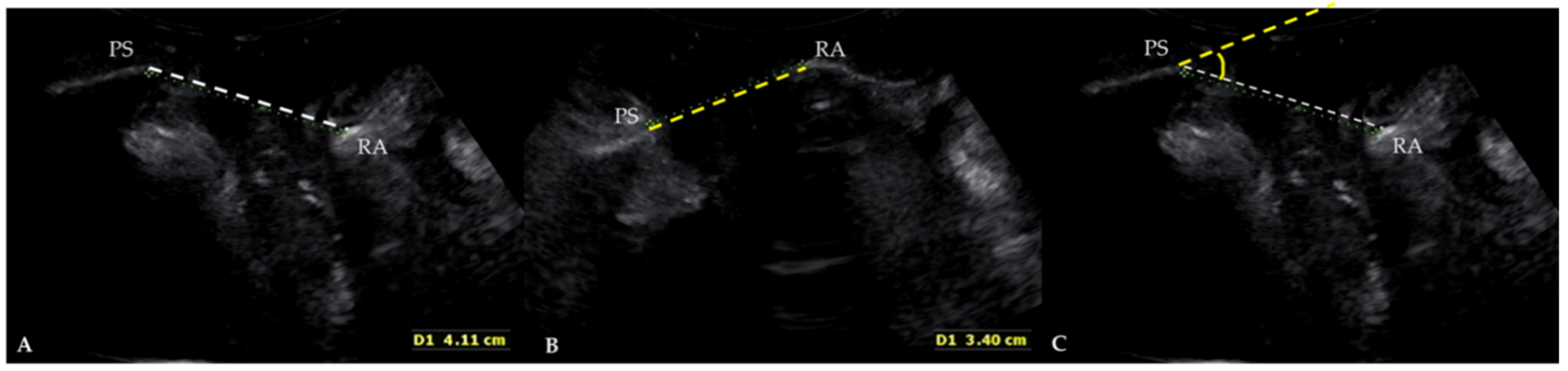 Diagnostics 12 00098 g002 550