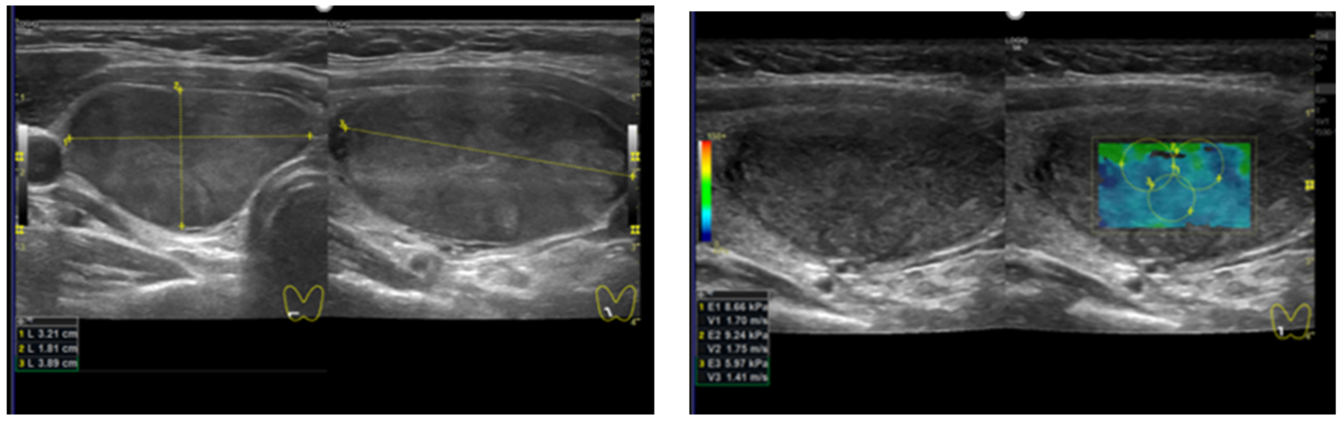 Diagnostics 12 00109 g001