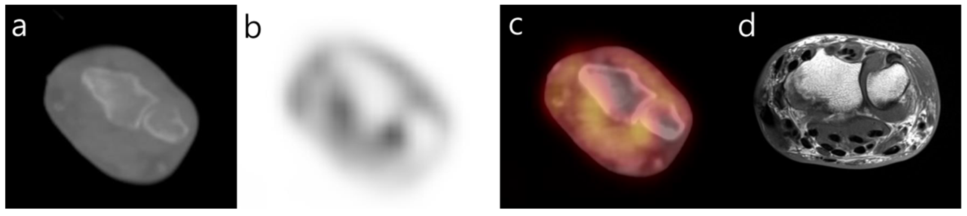 Diagnostics 12 00113 g003