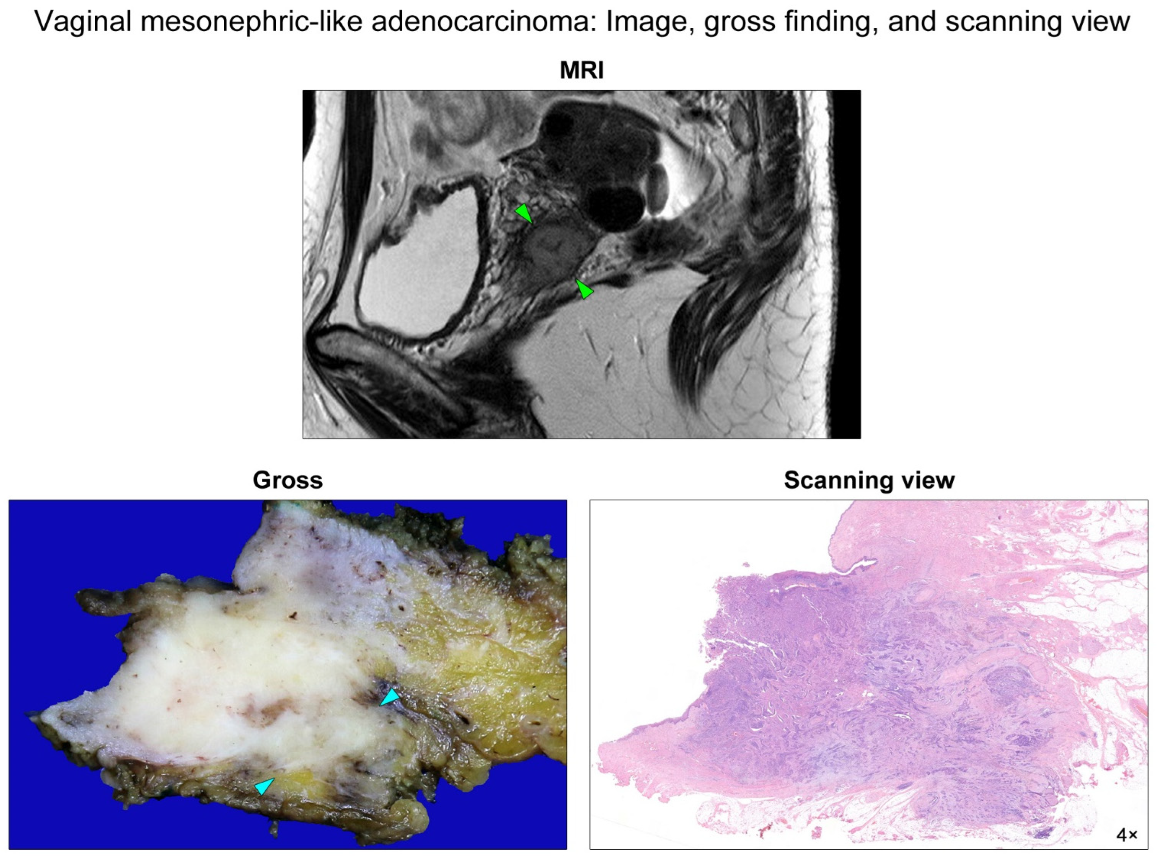 Diagnostics 12 00119 g001 Diagnostics 12 00119 g001