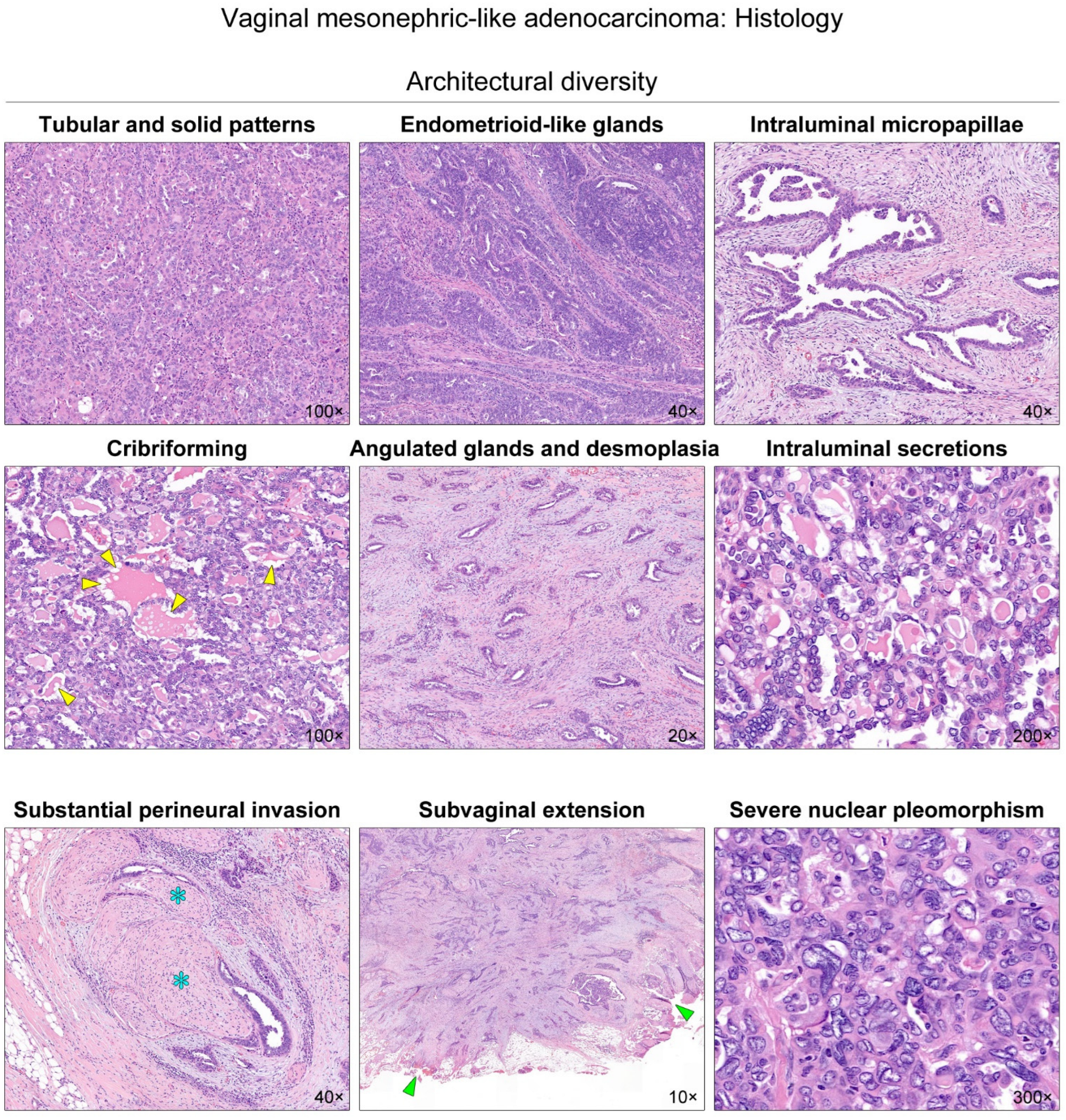 Diagnostics 12 00119 g002 Diagnostics 12 00119 g002