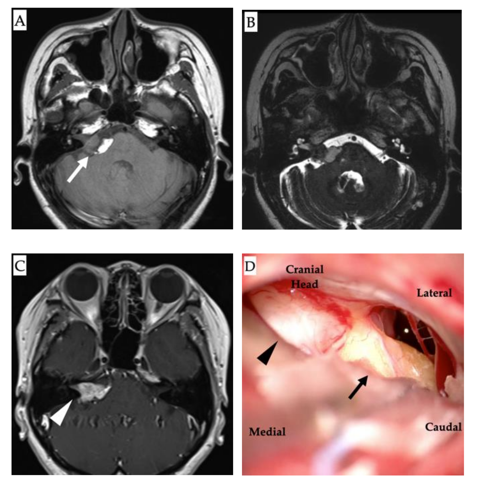 Diagnostics 12 00120 g002 Diagnostics 12 00120 g002