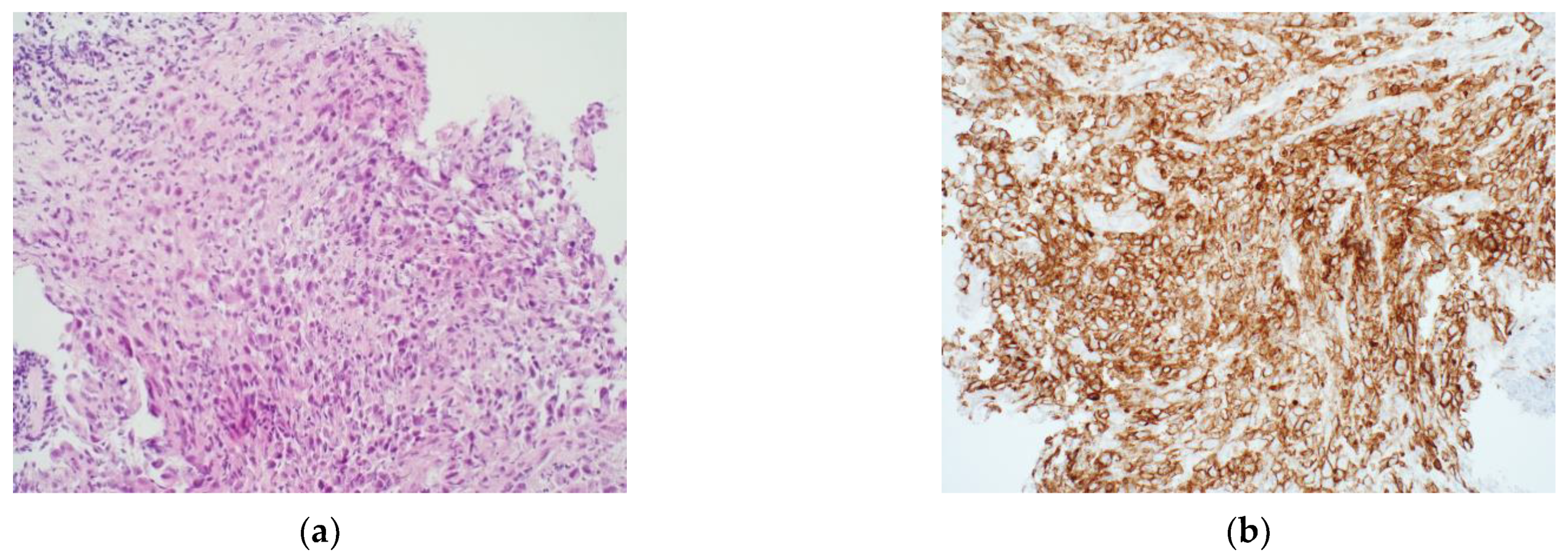 Diagnostics 12 00124 g002