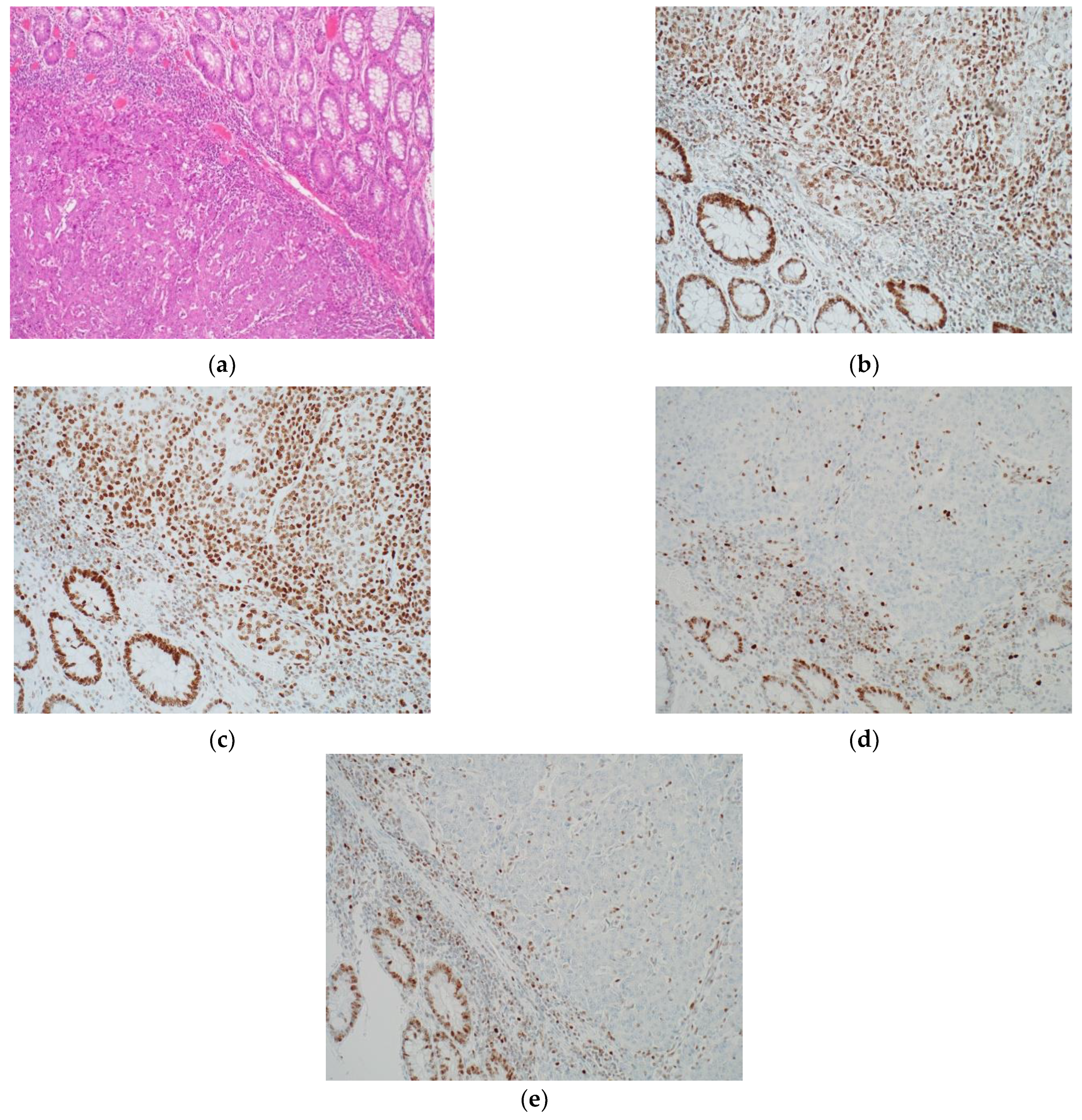 Diagnostics 12 00124 g003