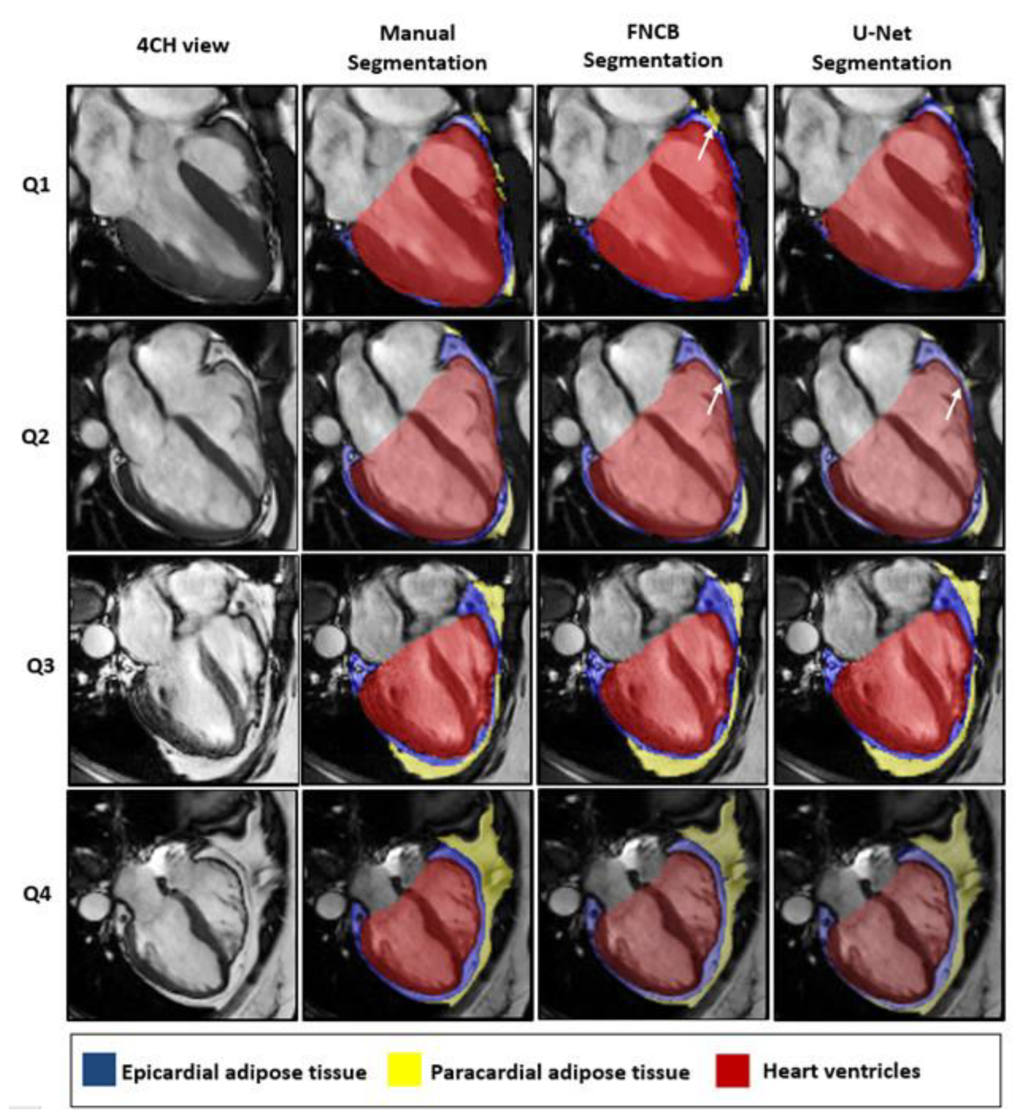 Diagnostics 12 00126 g004