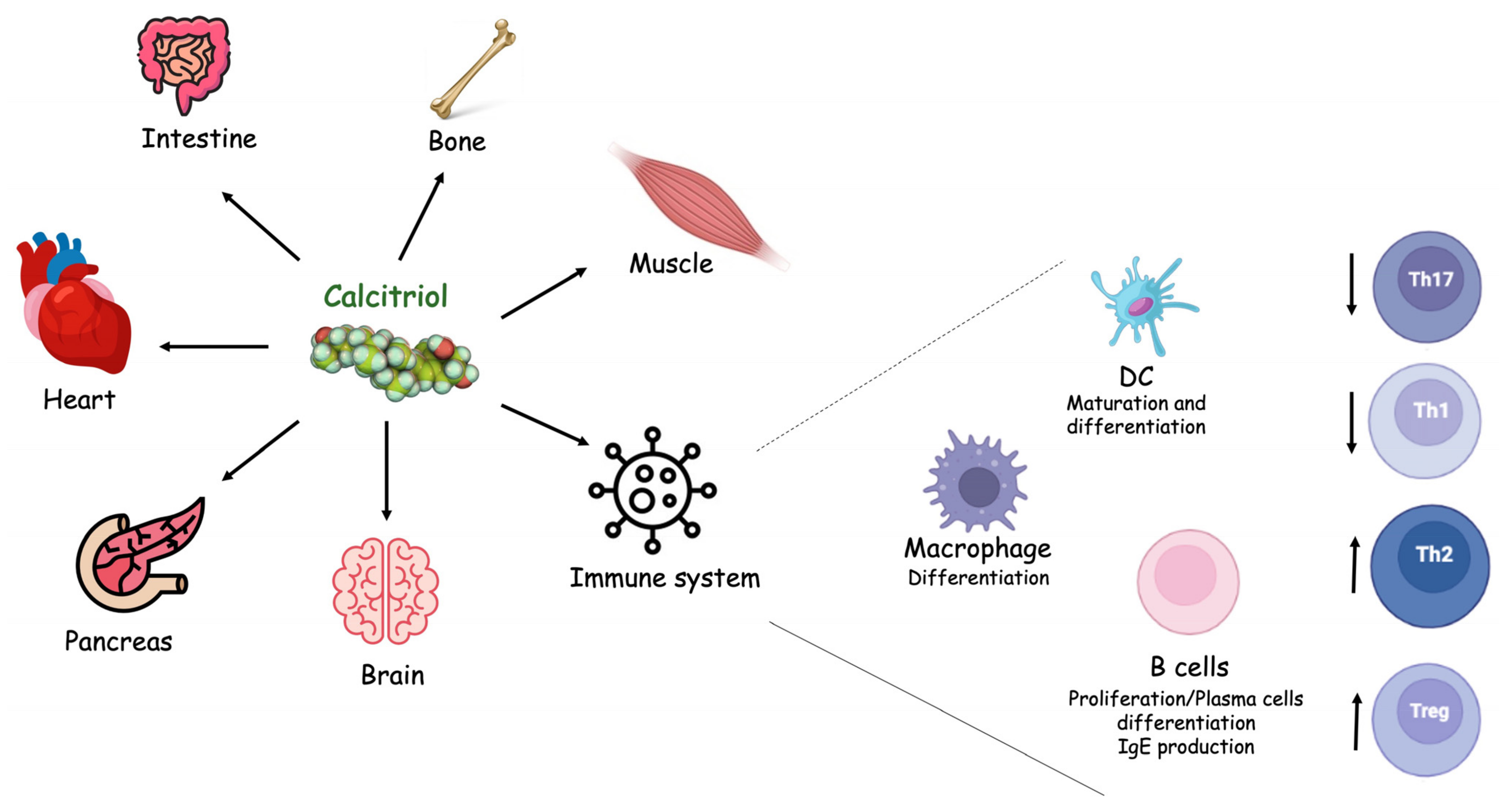 Diagnostics 12 00130 g002 Diagnostics 12 00130 g002