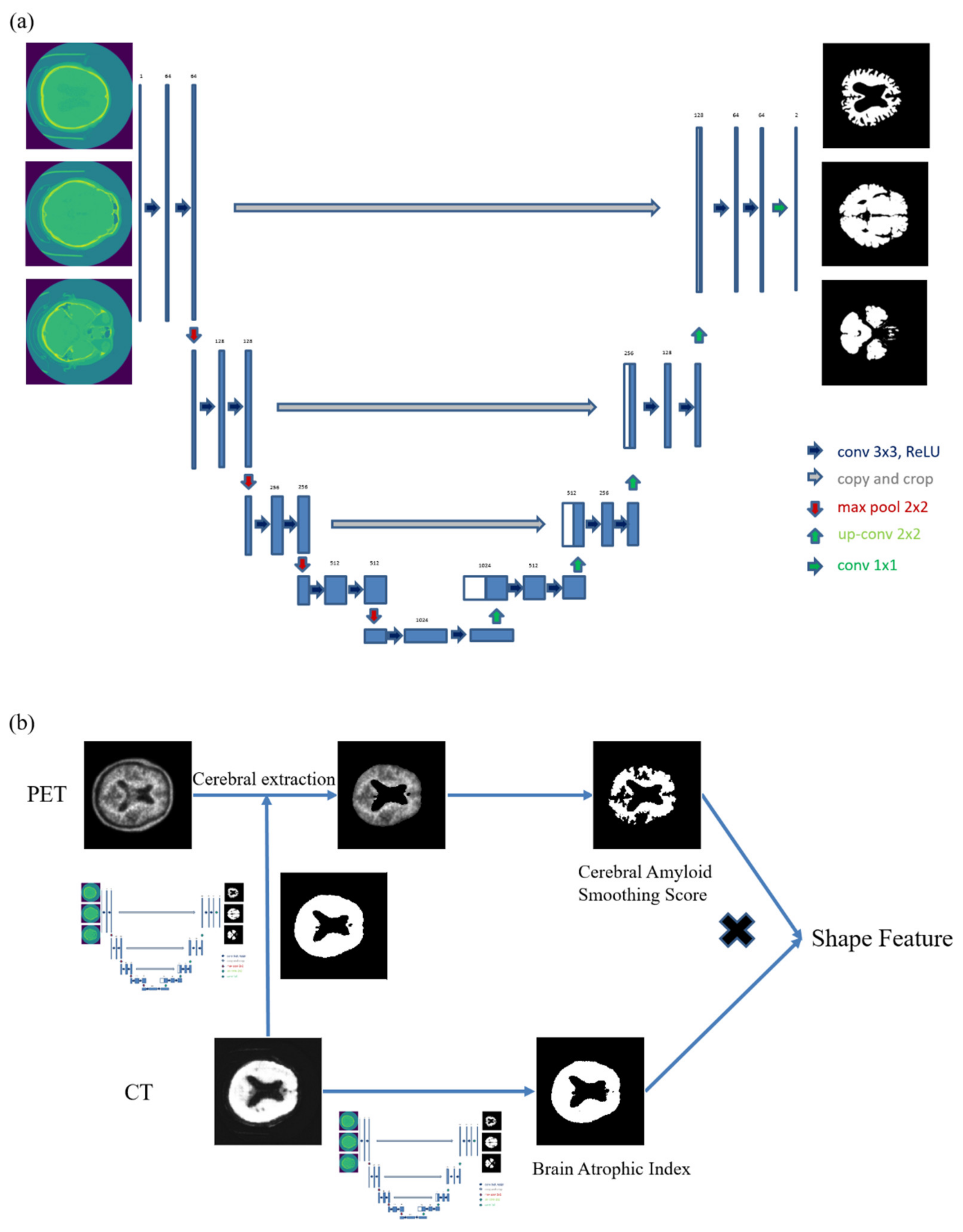Diagnostics 12 00132 g001