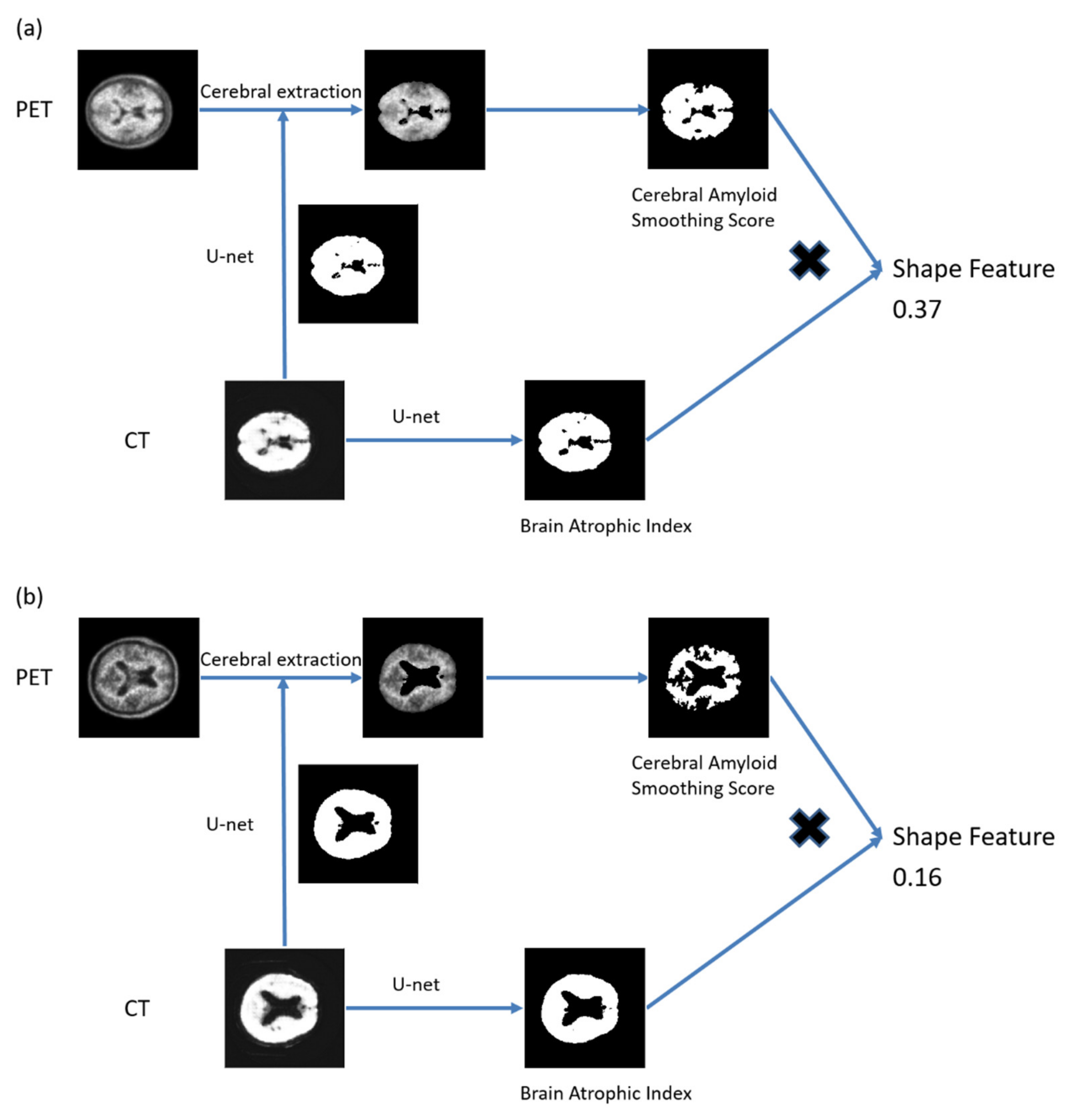 Diagnostics 12 00132 g002
