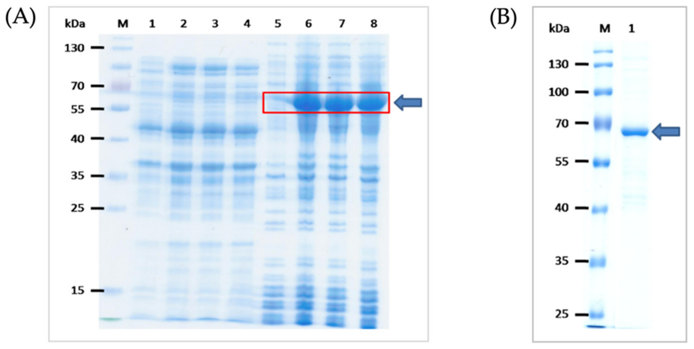 Diagnostics 12 00136 g001