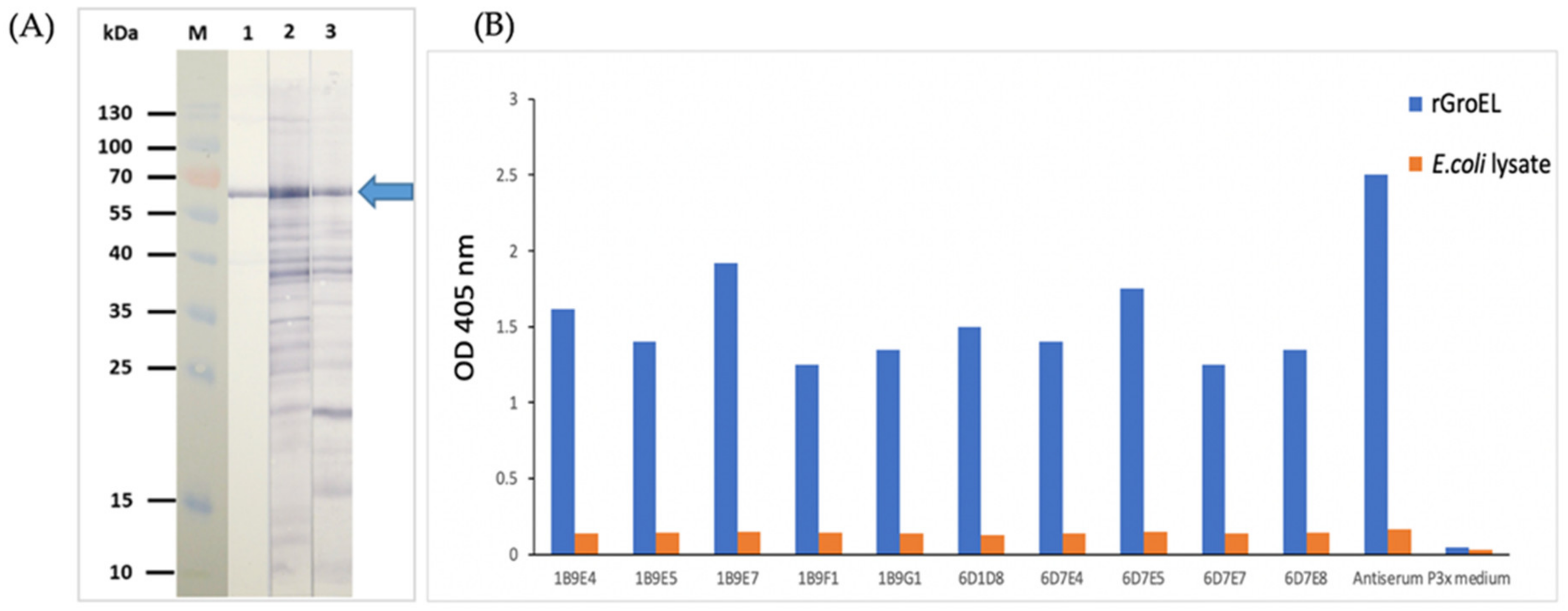 Diagnostics 12 00136 g002