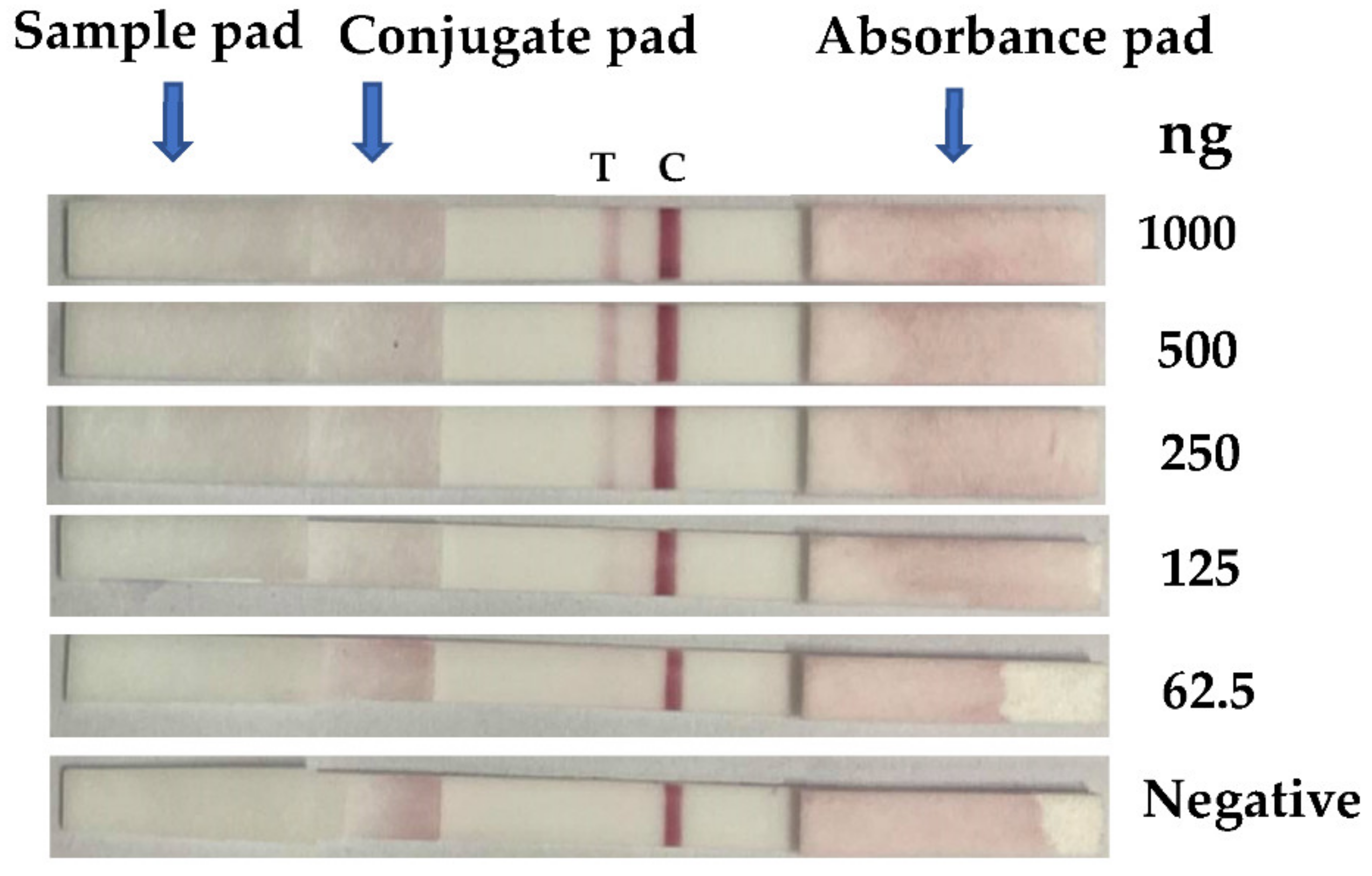 Diagnostics 12 00136 g003