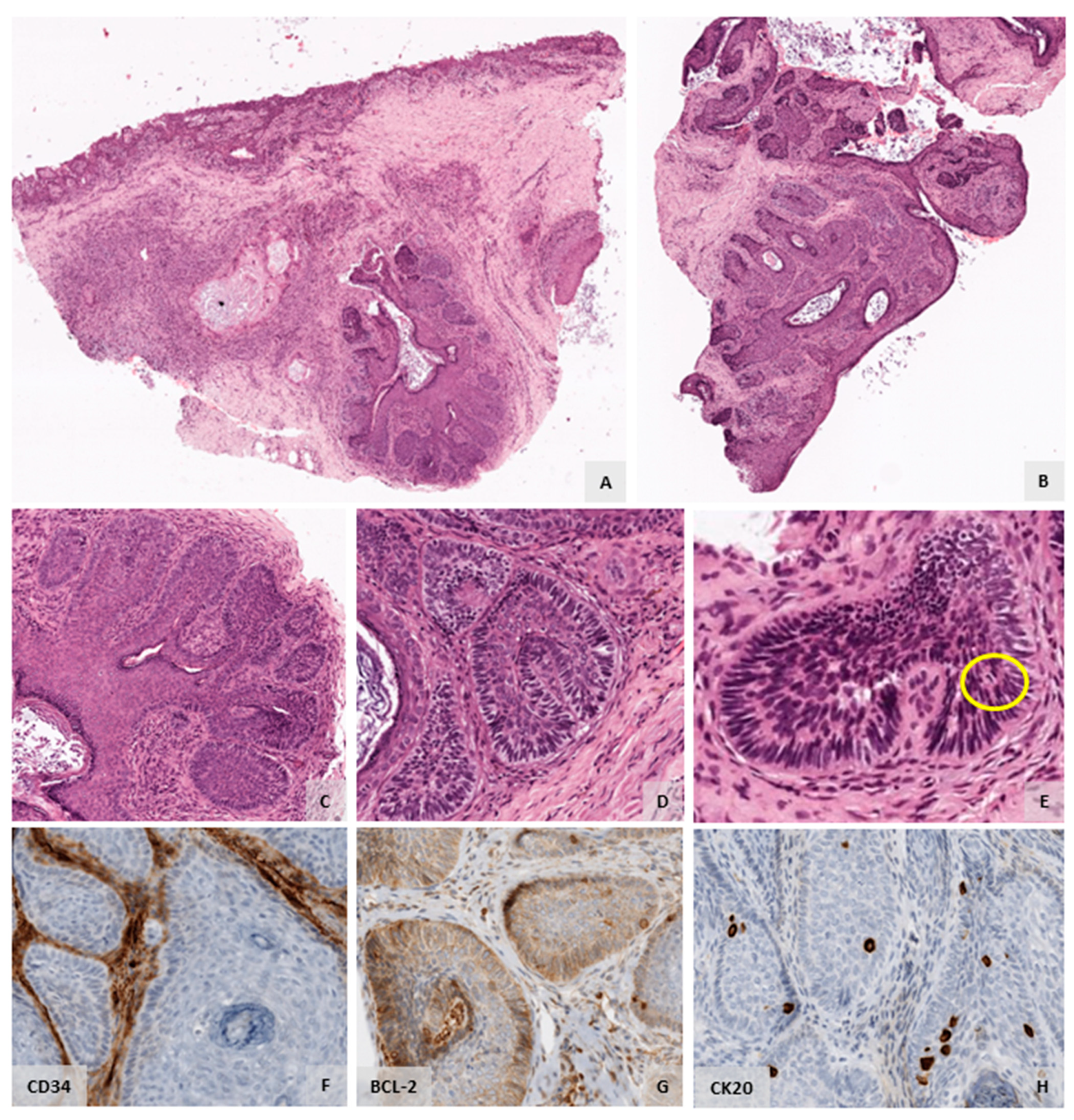 Diagnostics 12 00140 g002