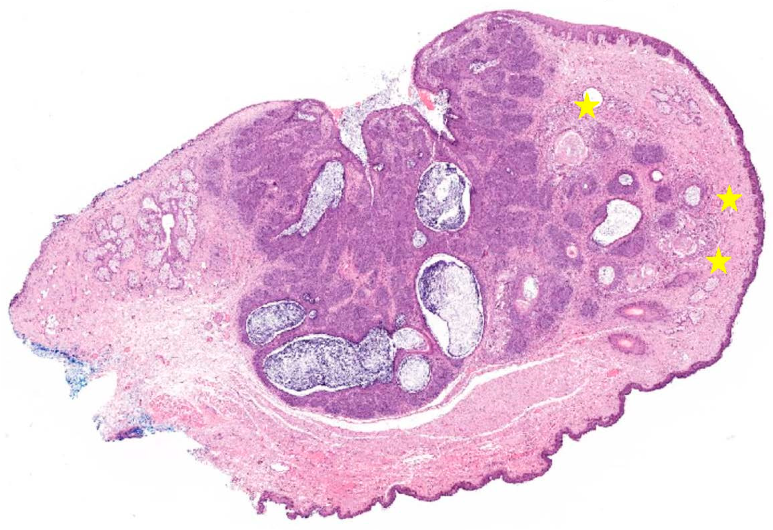 Diagnostics 12 00140 g003