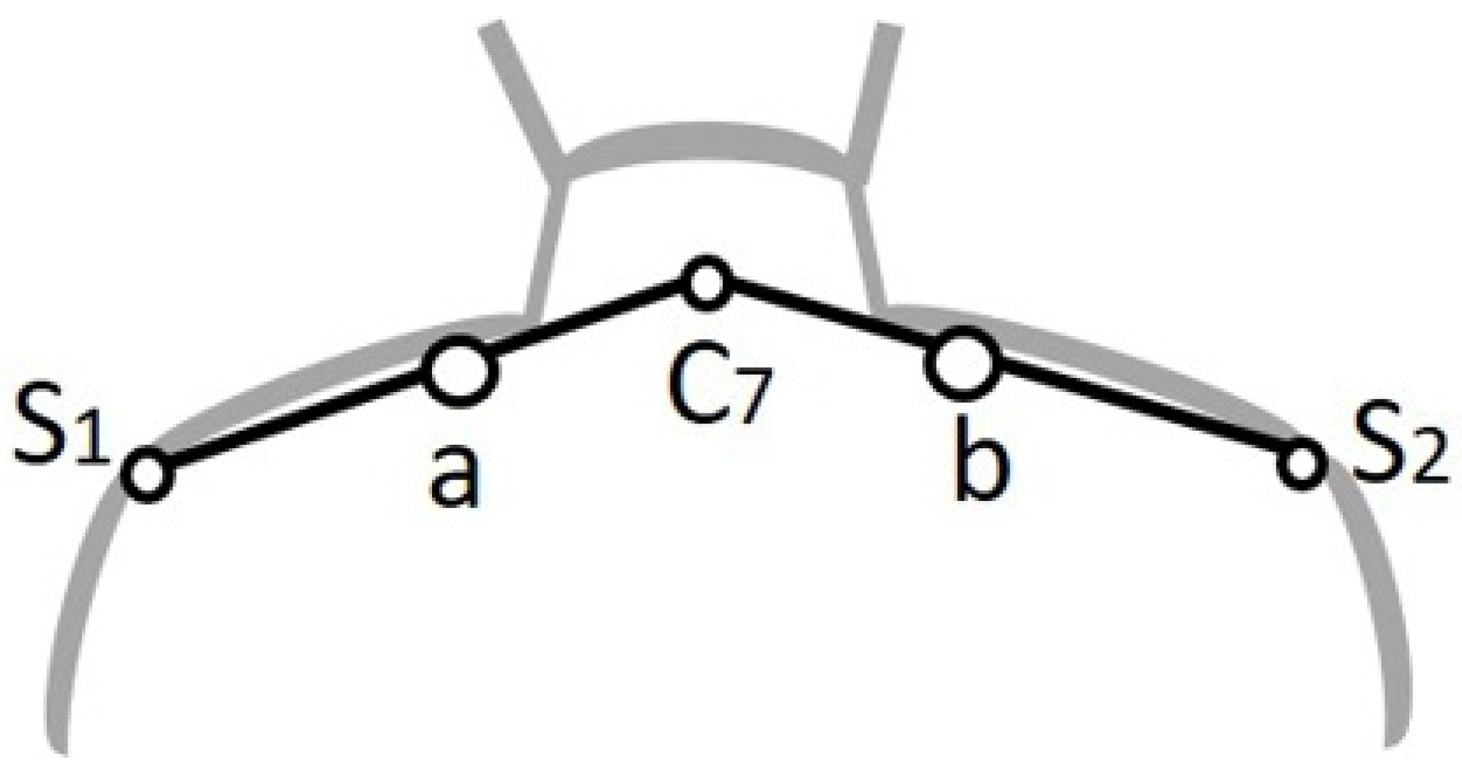 Diagnostics 12 00143 g001