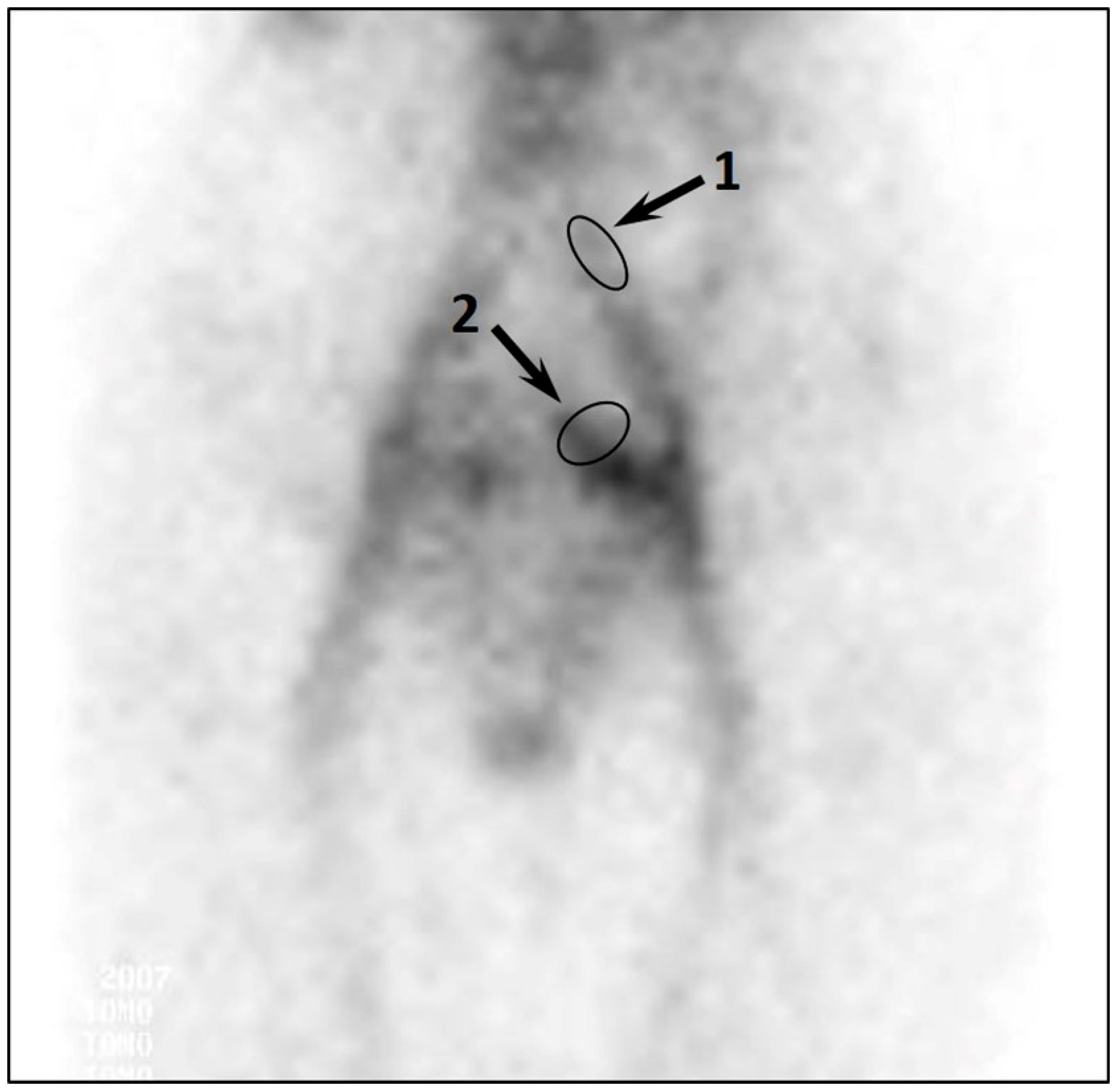 Diagnostics 12 00145 g002