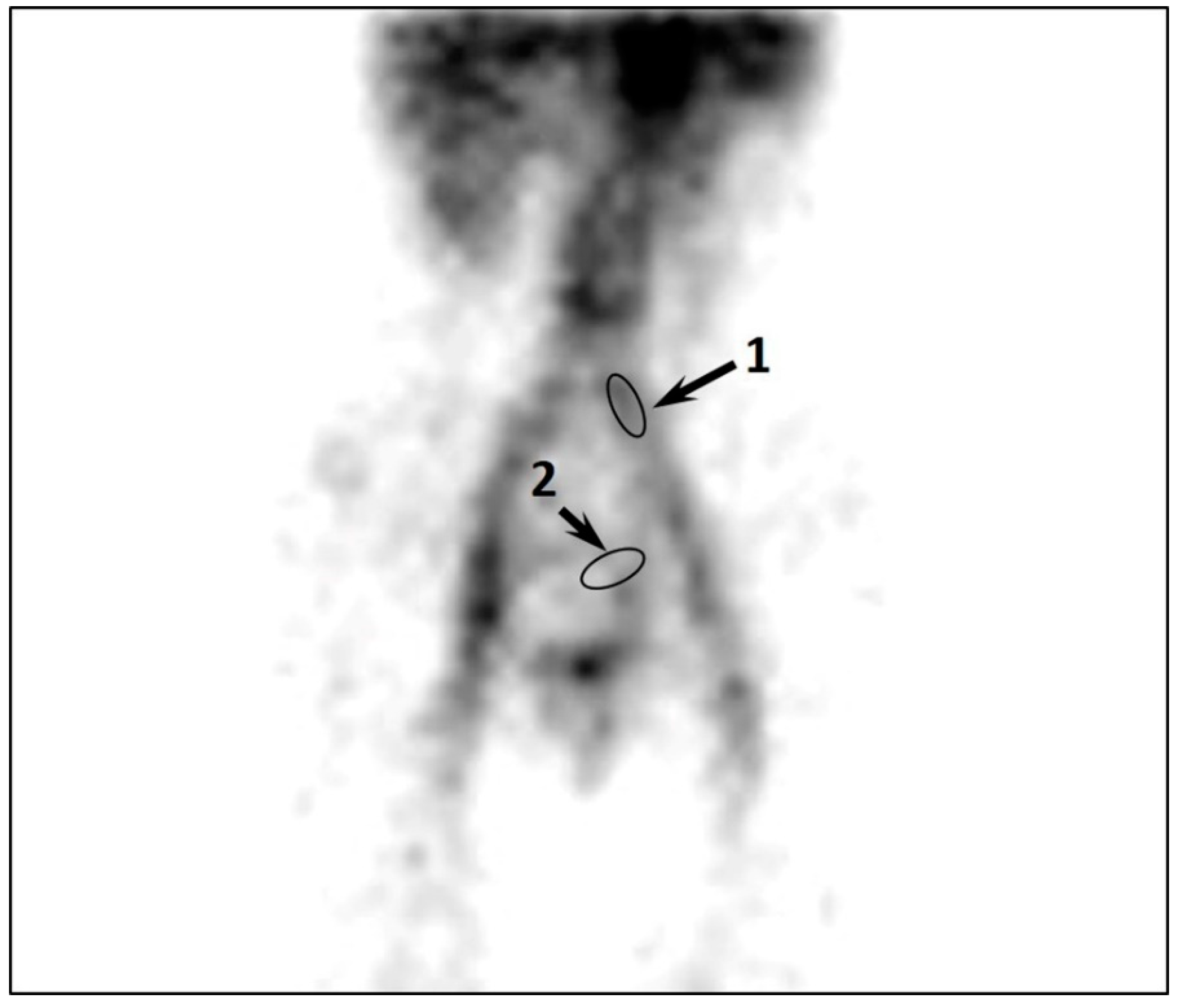 Diagnostics 12 00145 g003