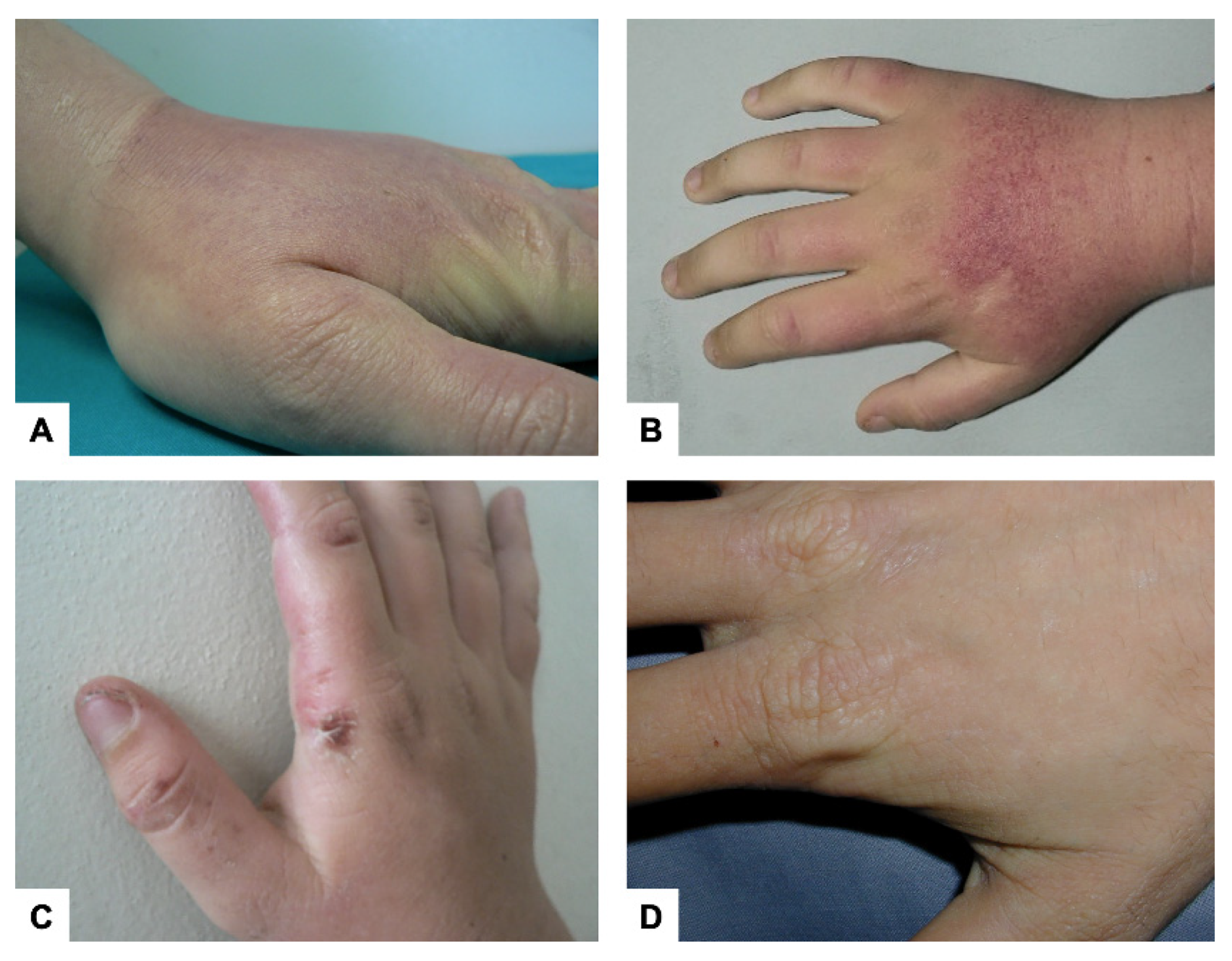 Diagnostics 12 00151 g002