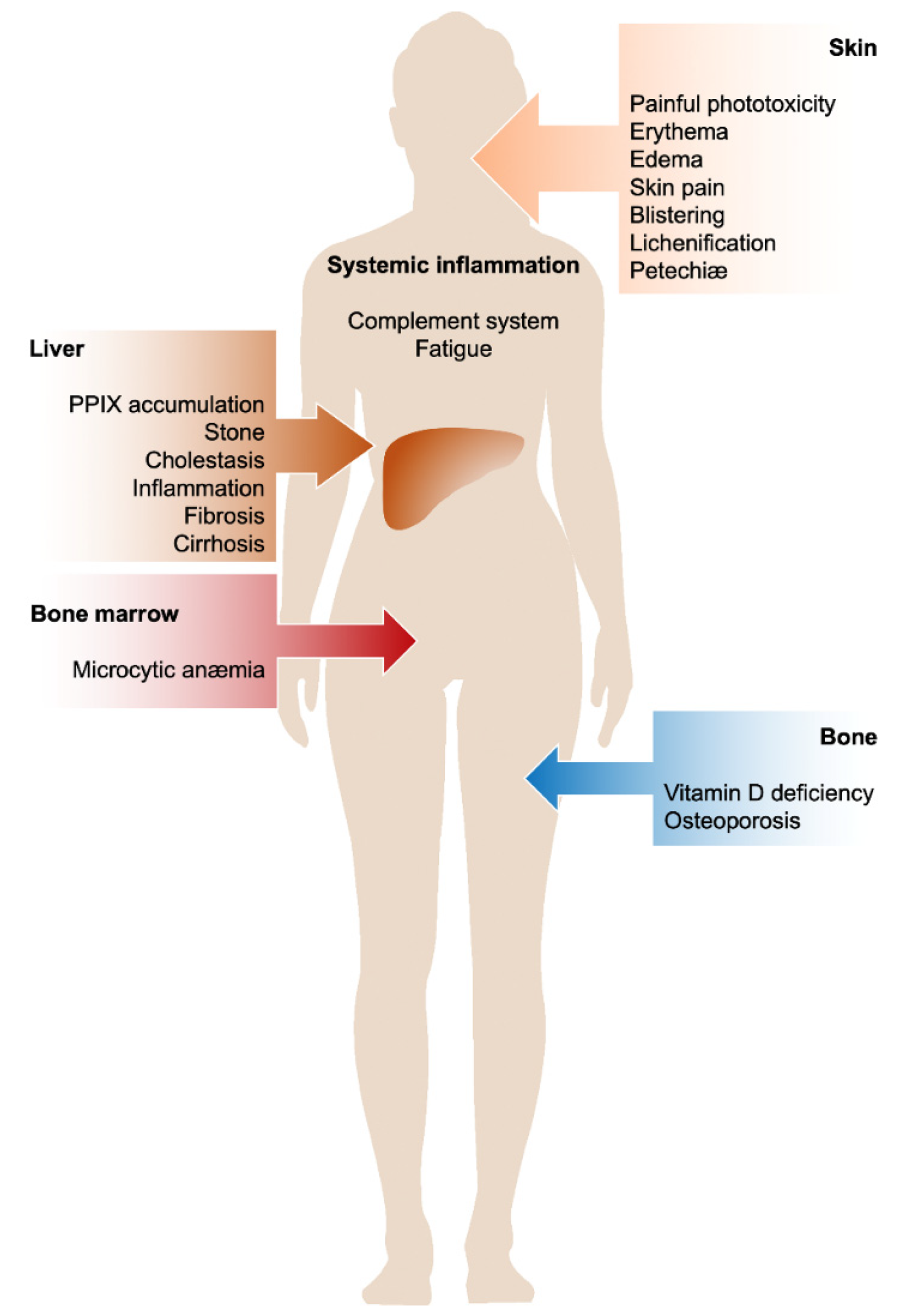 Diagnostics 12 00151 g003