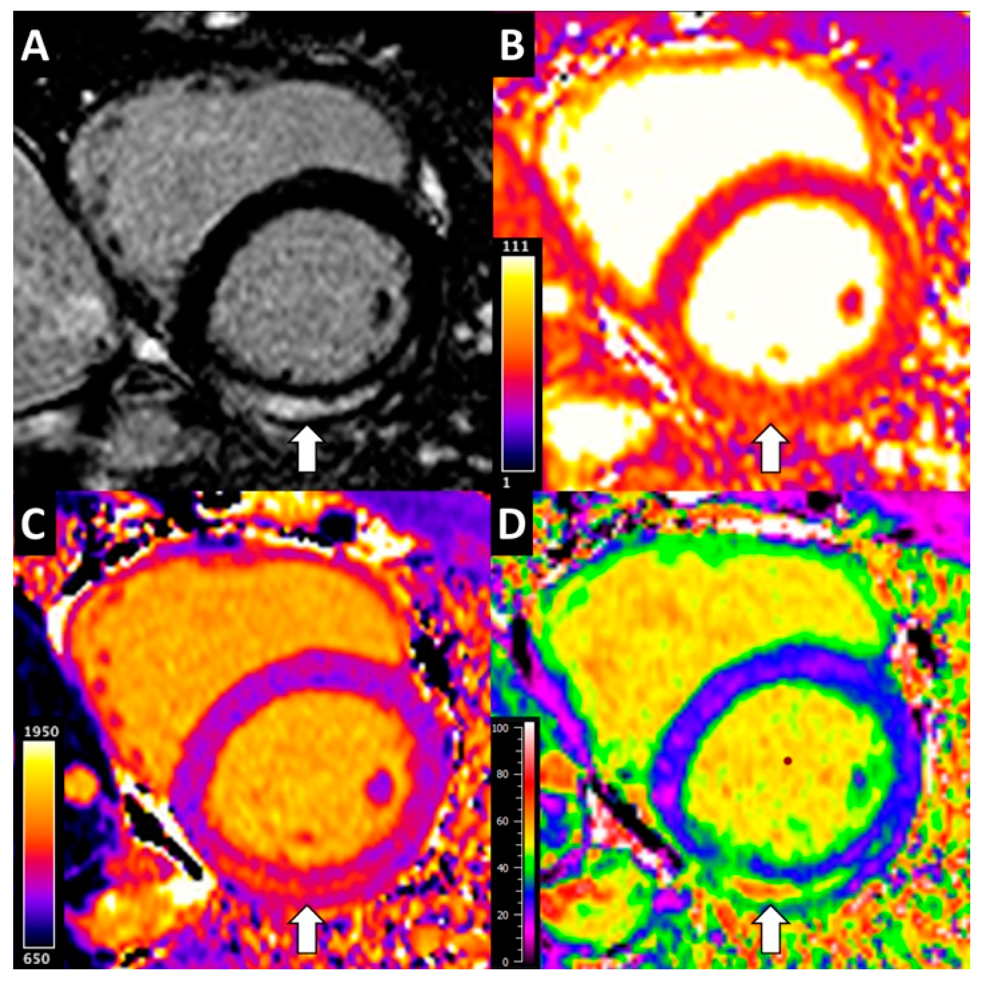 Diagnostics 12 00156 g002