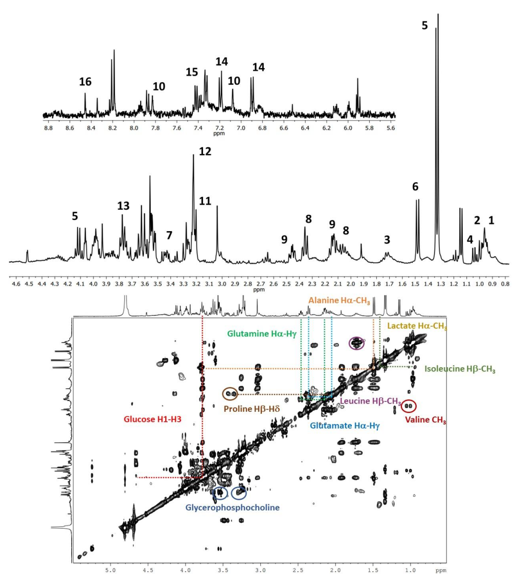 Diagnostics 12 00157 g001