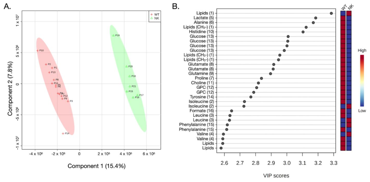 Diagnostics 12 00157 g002