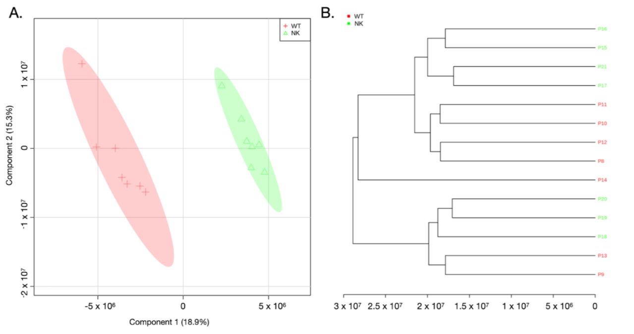 Diagnostics 12 00157 g003