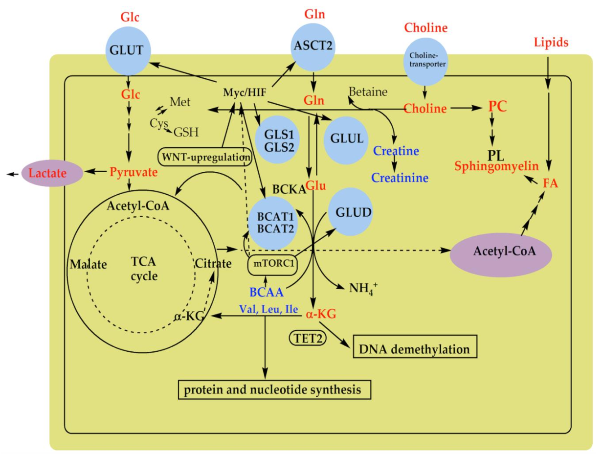 Diagnostics 12 00157 g005