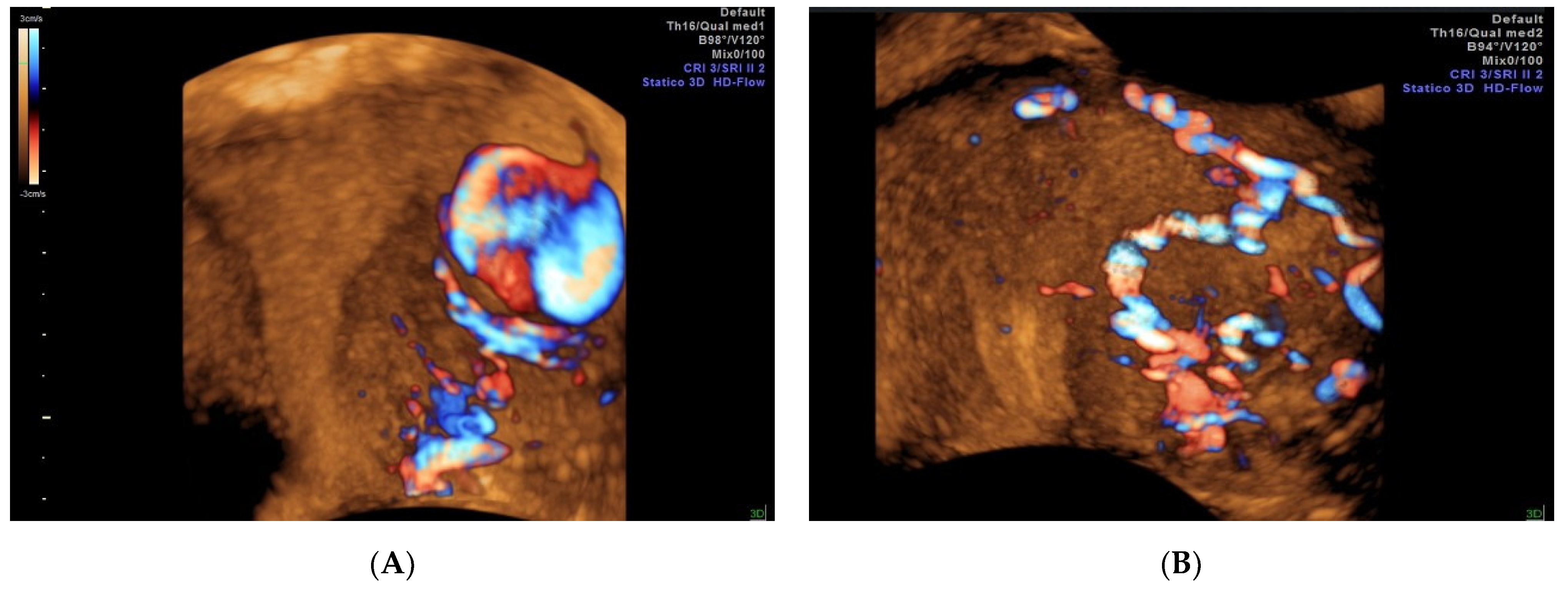 Diagnostics 12 00164 g004 550