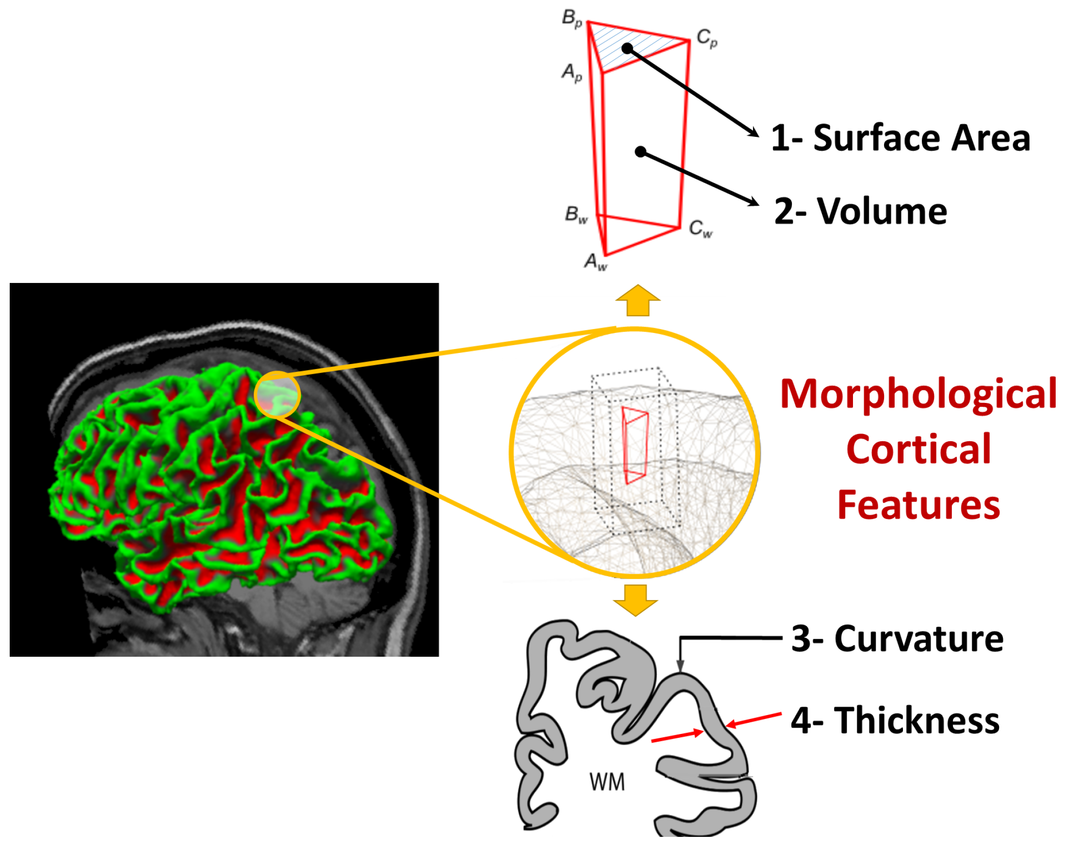 Diagnostics 12 00165 g002