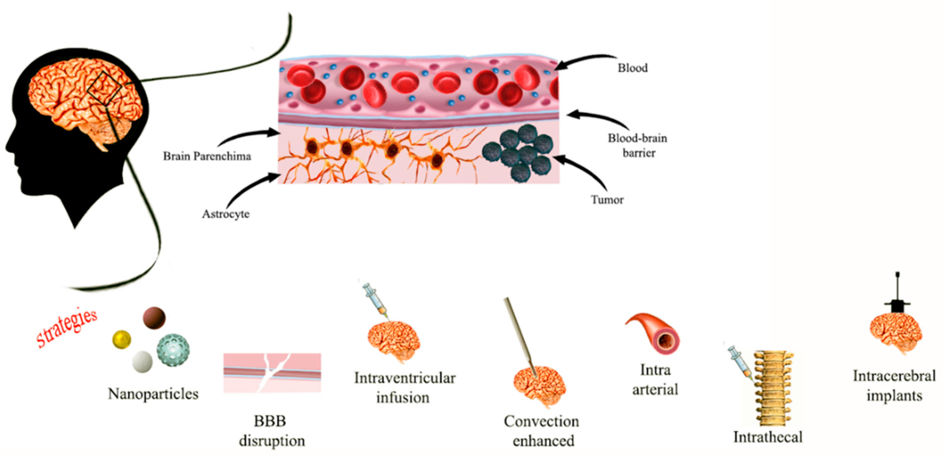 Diagnostics 12 00173 g001