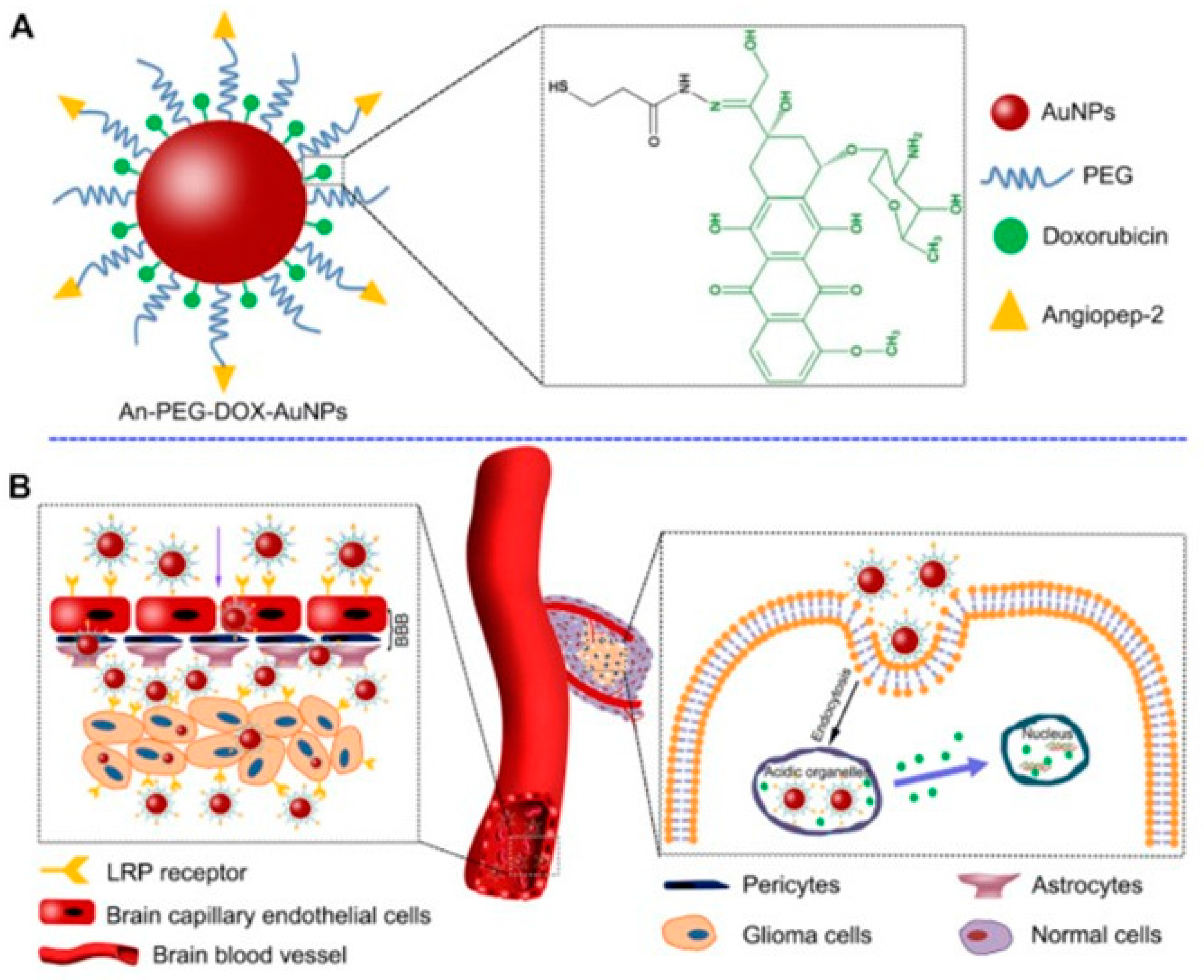 Diagnostics 12 00173 g002