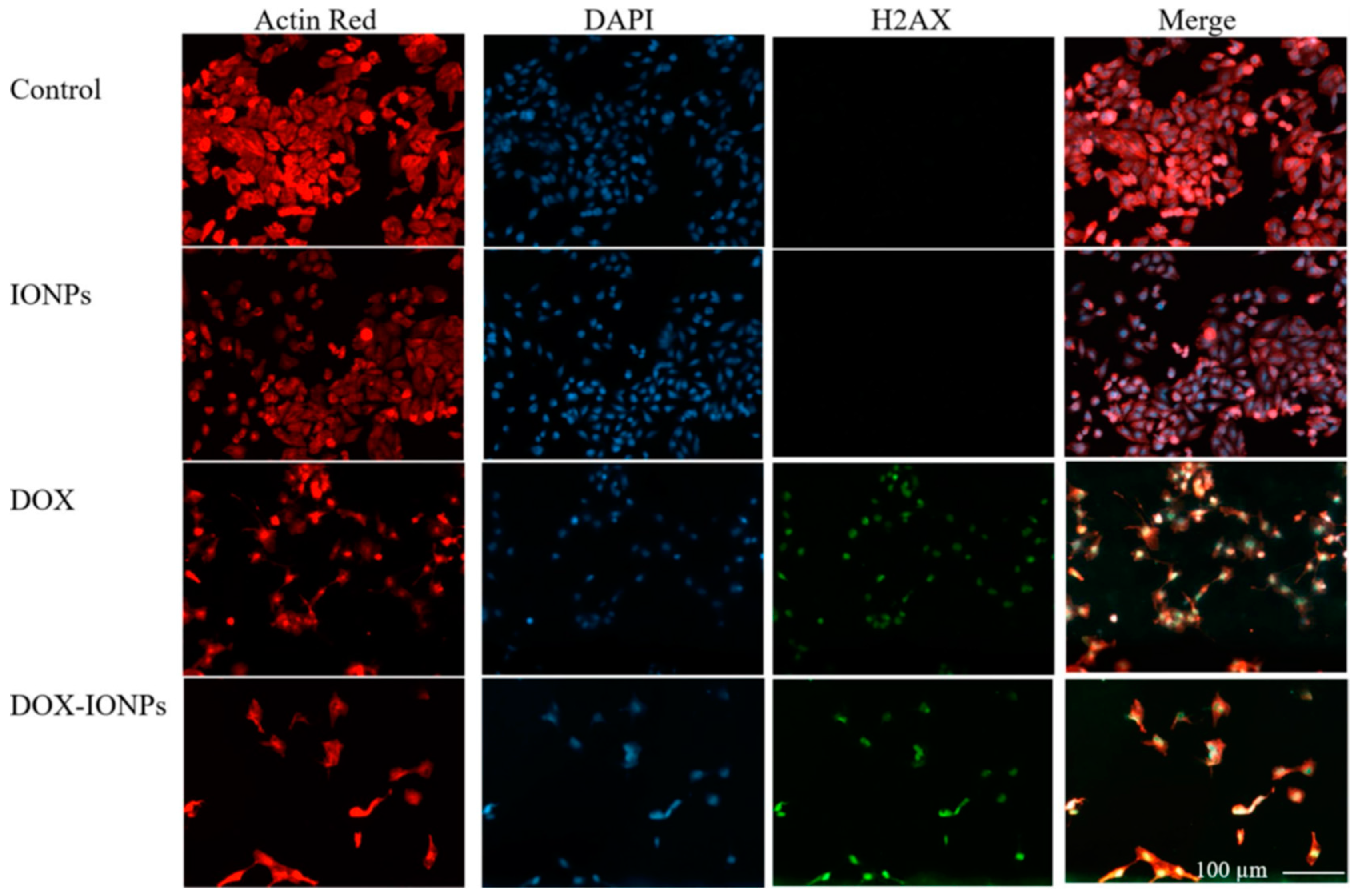 Diagnostics 12 00173 g003