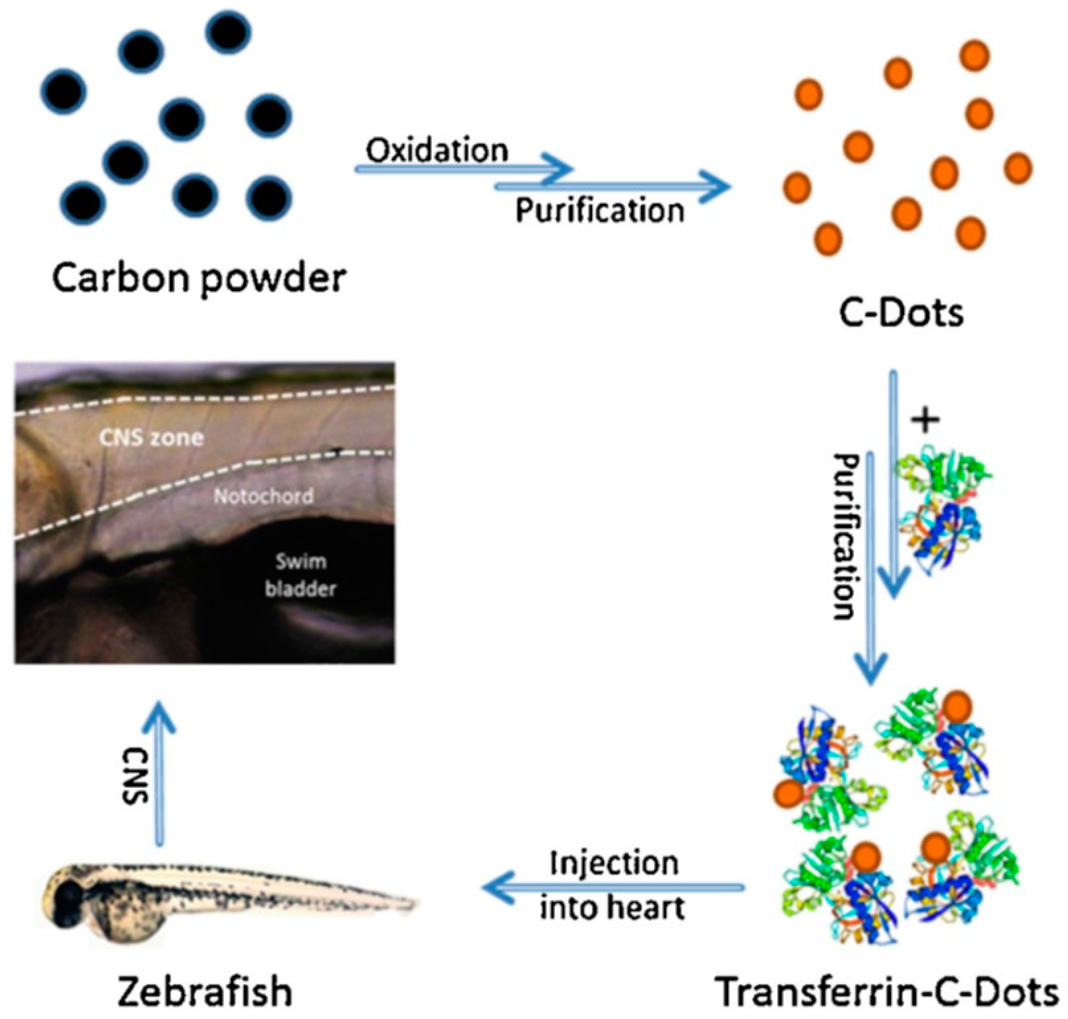 Diagnostics 12 00173 g005