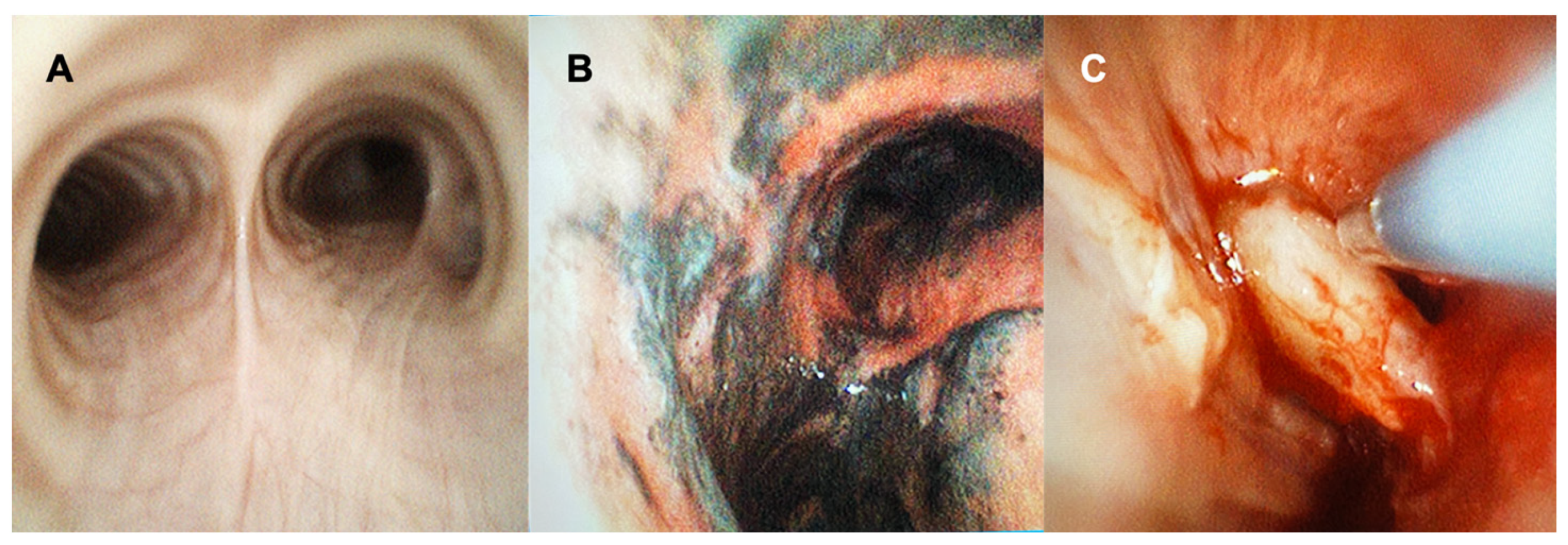 Diagnostics 12 00174 g001