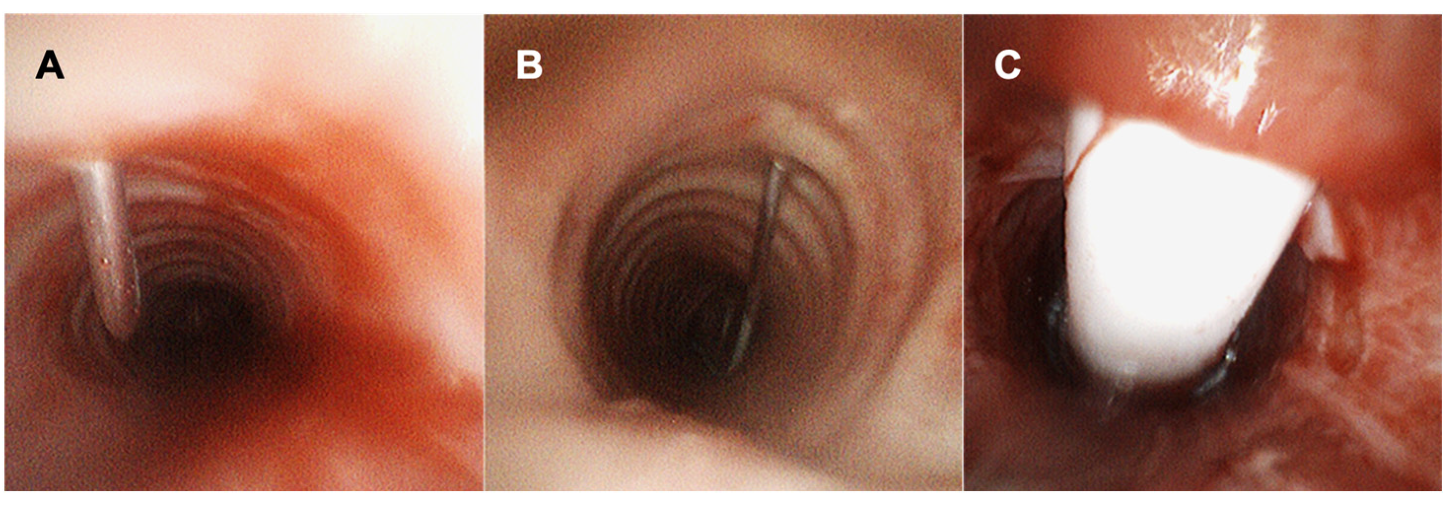 Diagnostics 12 00174 g002
