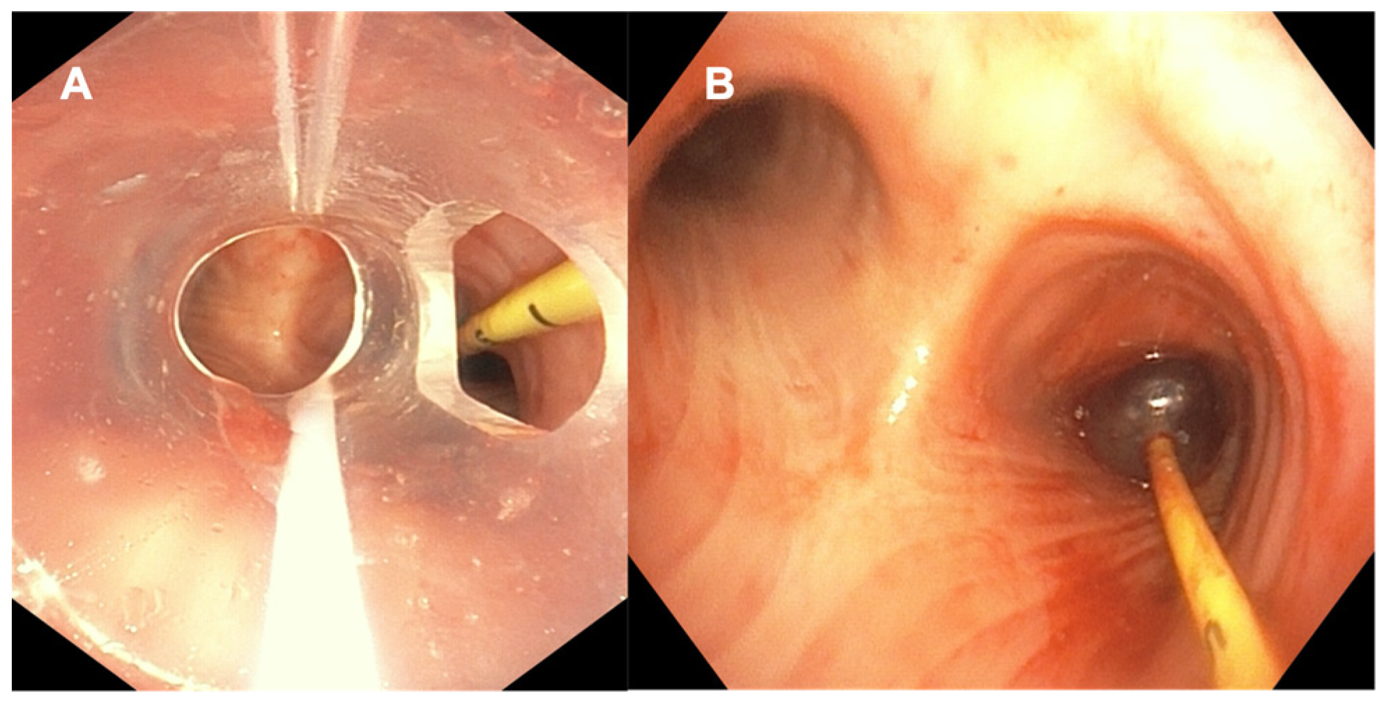 Diagnostics 12 00174 g003